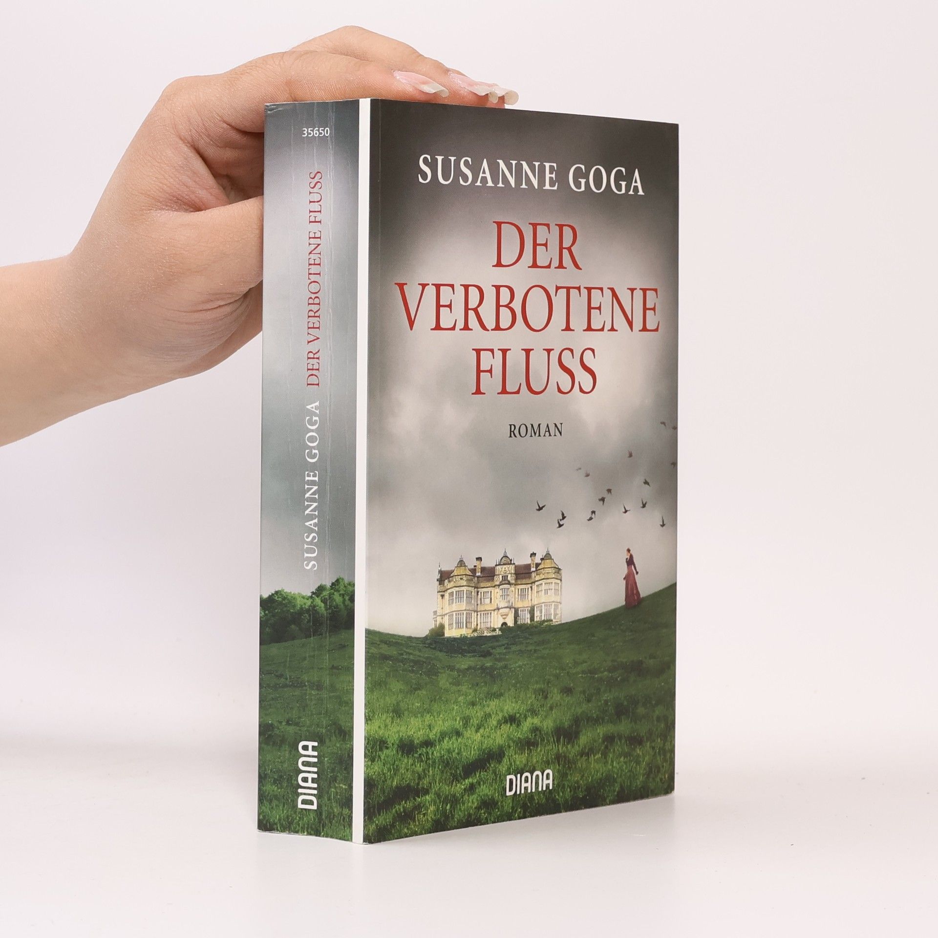 Susanne Goga Der verbotene Fluss