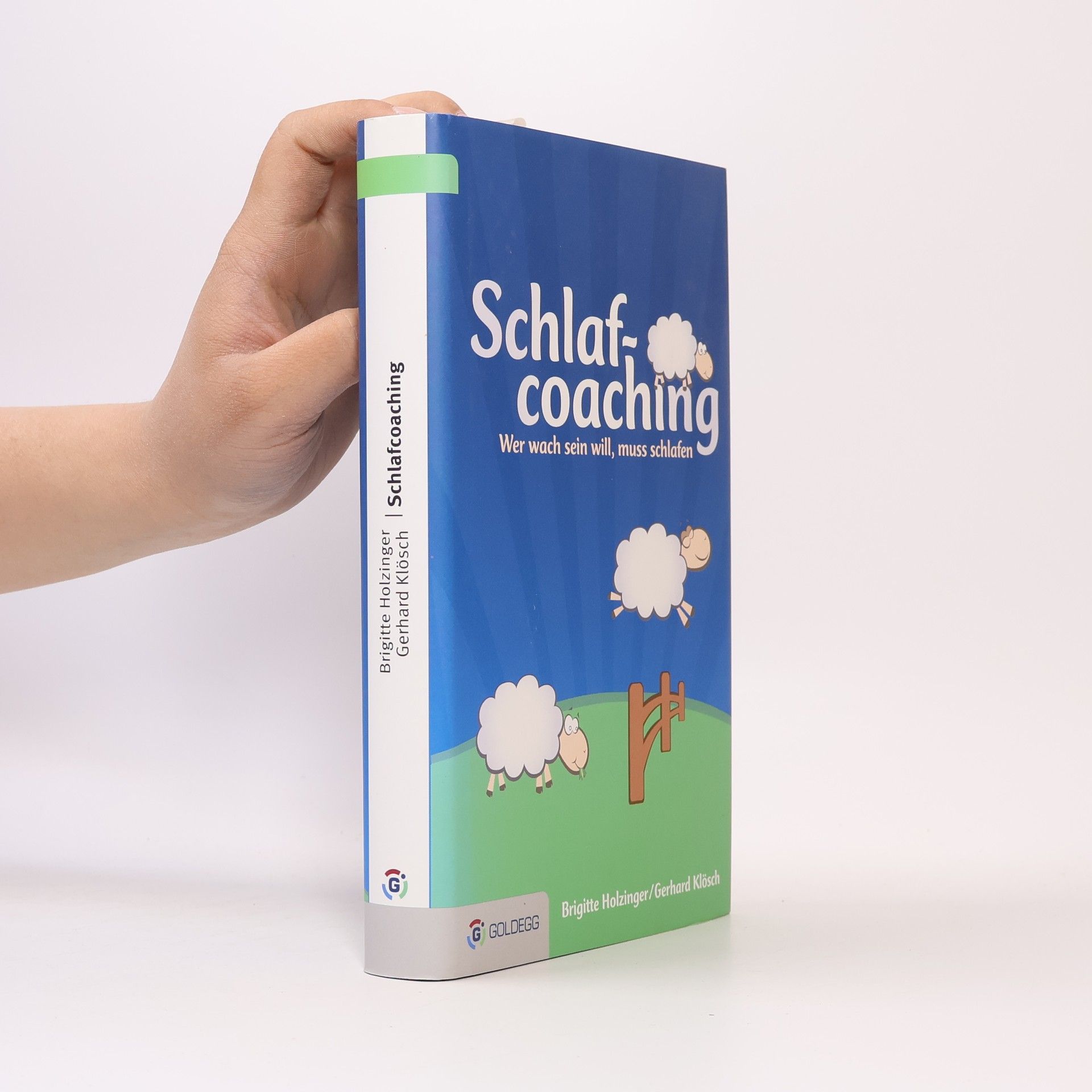Brigitte Holzinger Schlafcoaching