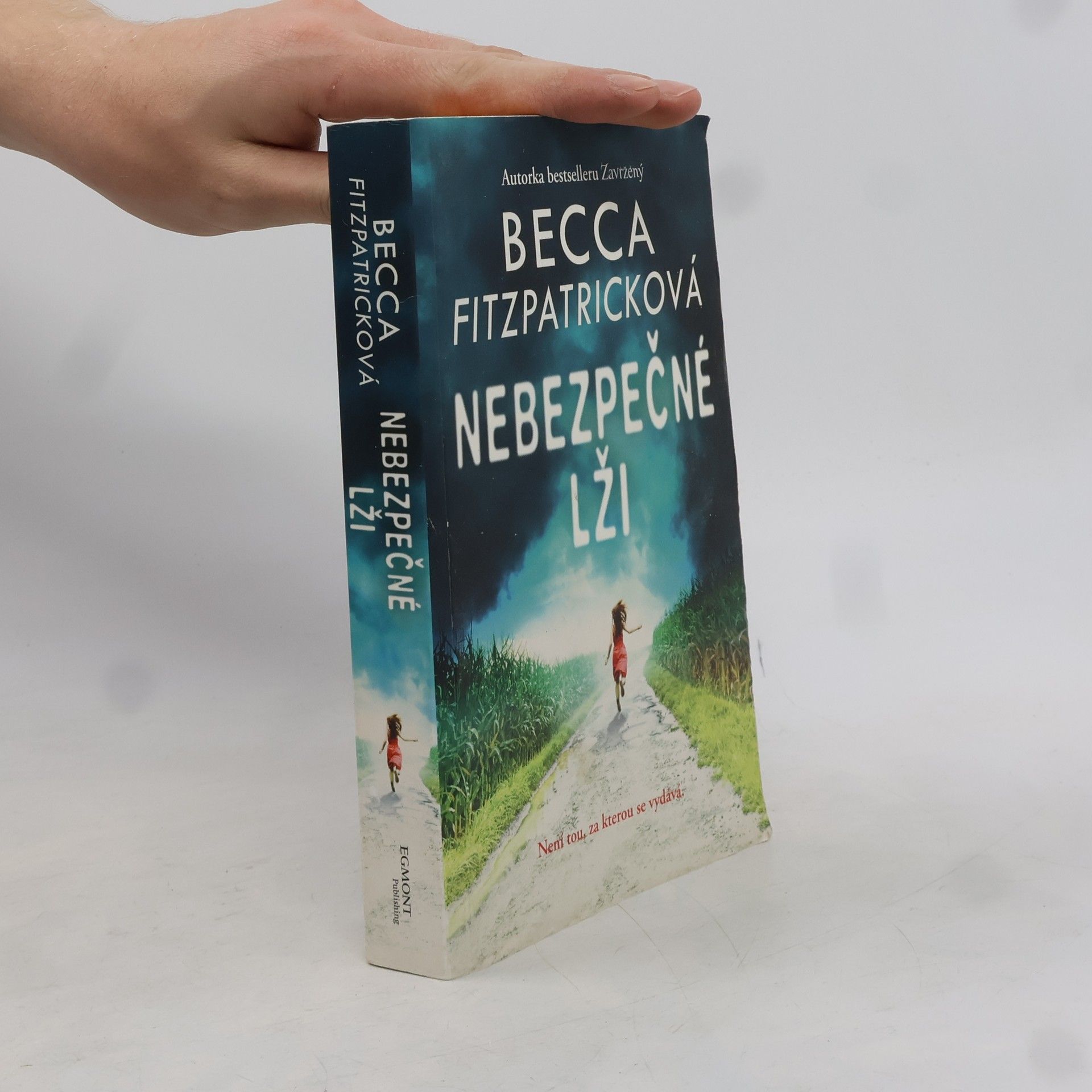 Becca Fitzpatrick Nebezpečné lži