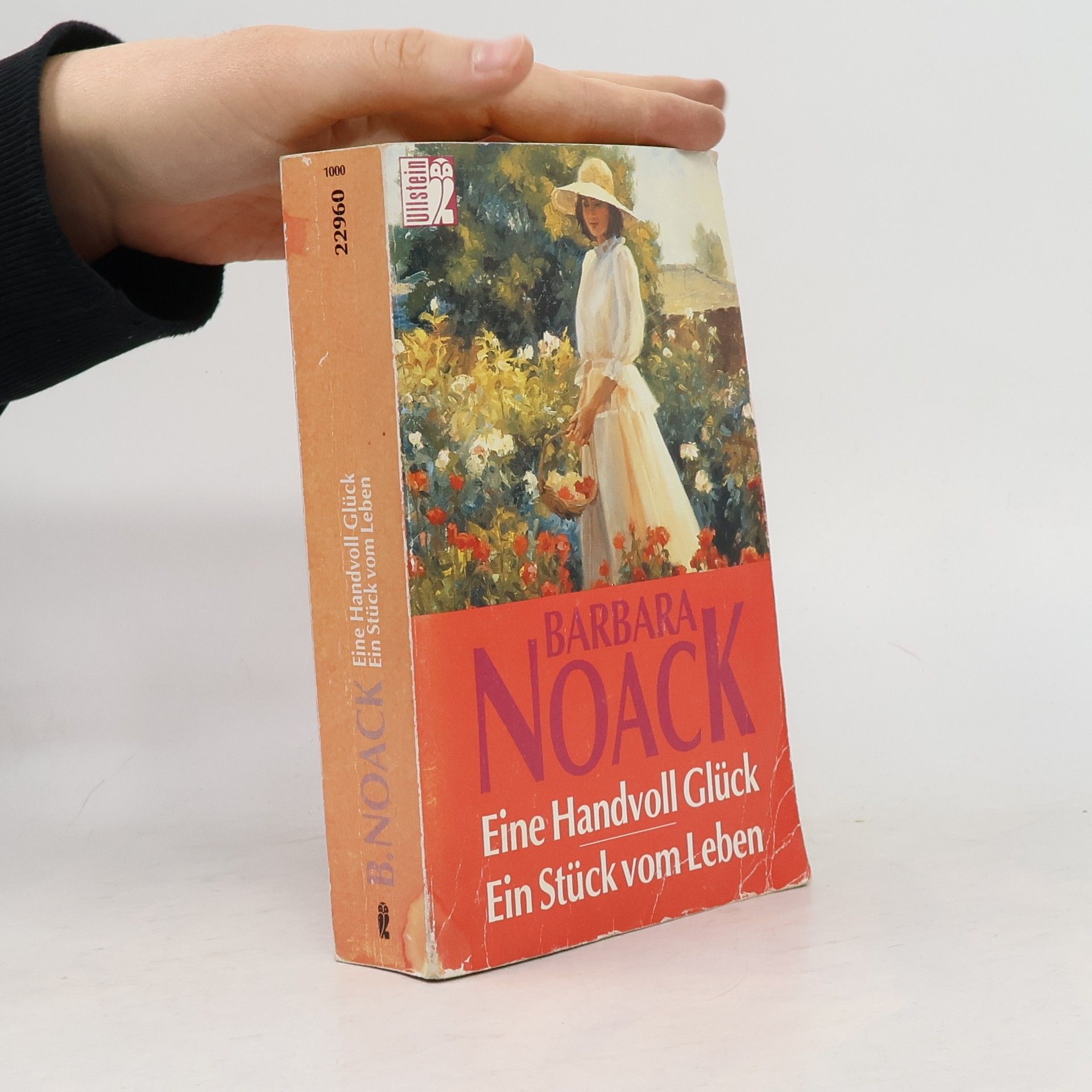 Barbara Noack Eine Handvoll Glück