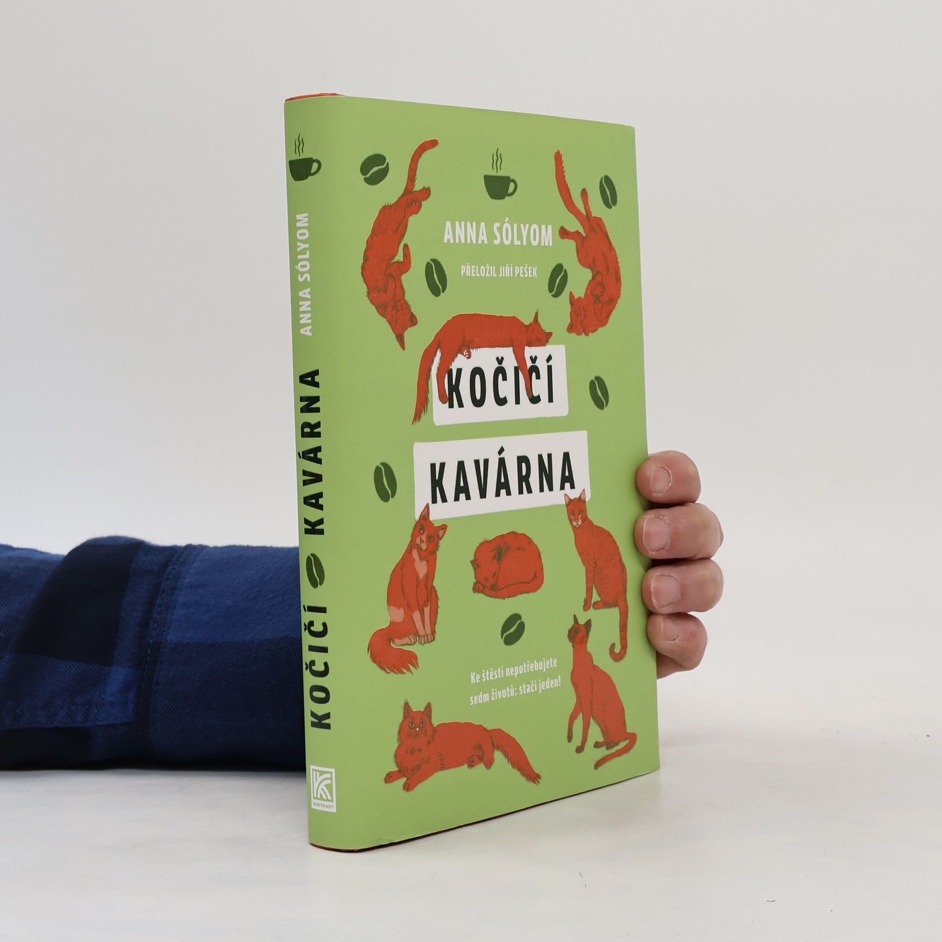 Anna Sólyom Kočičí kavárna