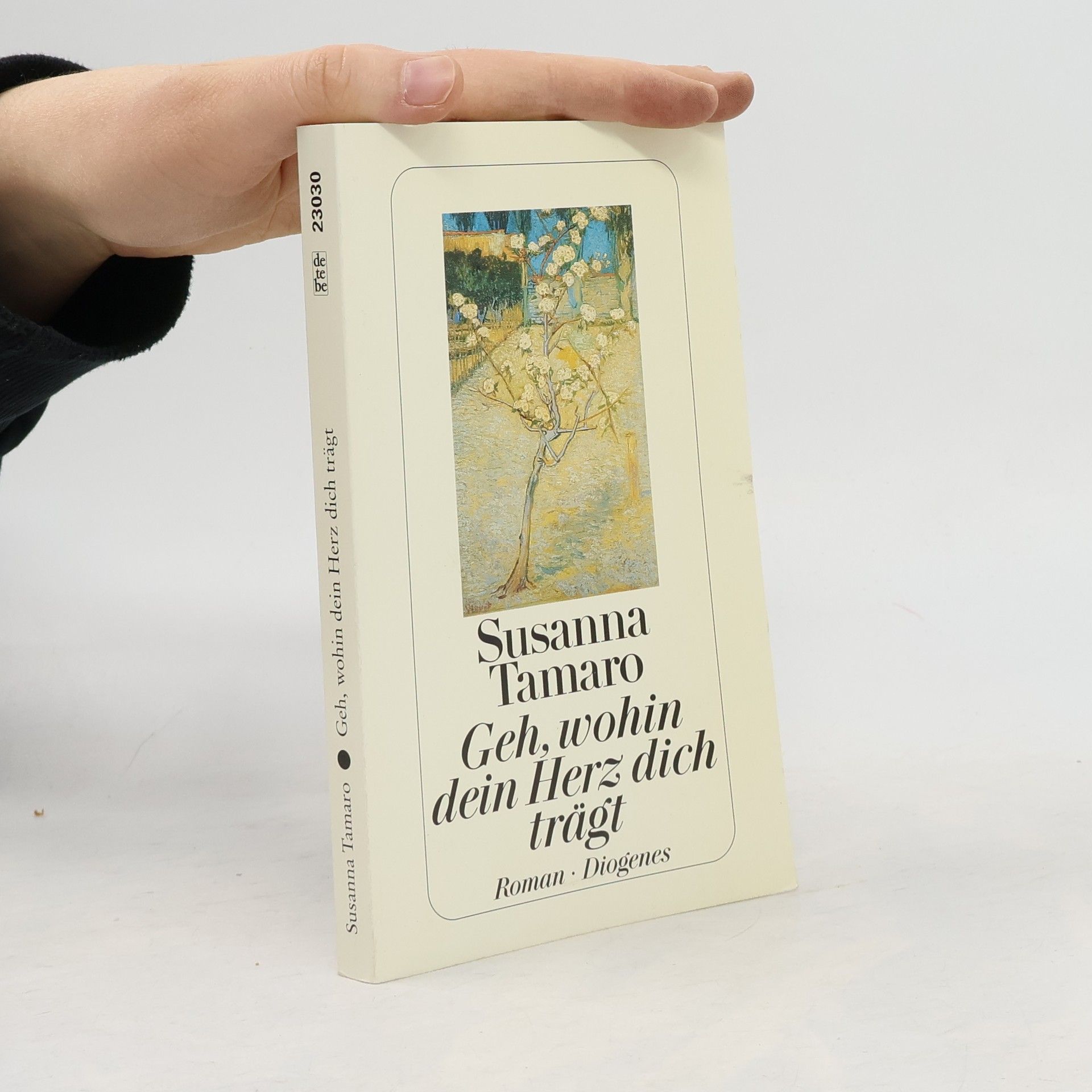 Susanna Tamaro Geh, wohin dein Herz dich trägt