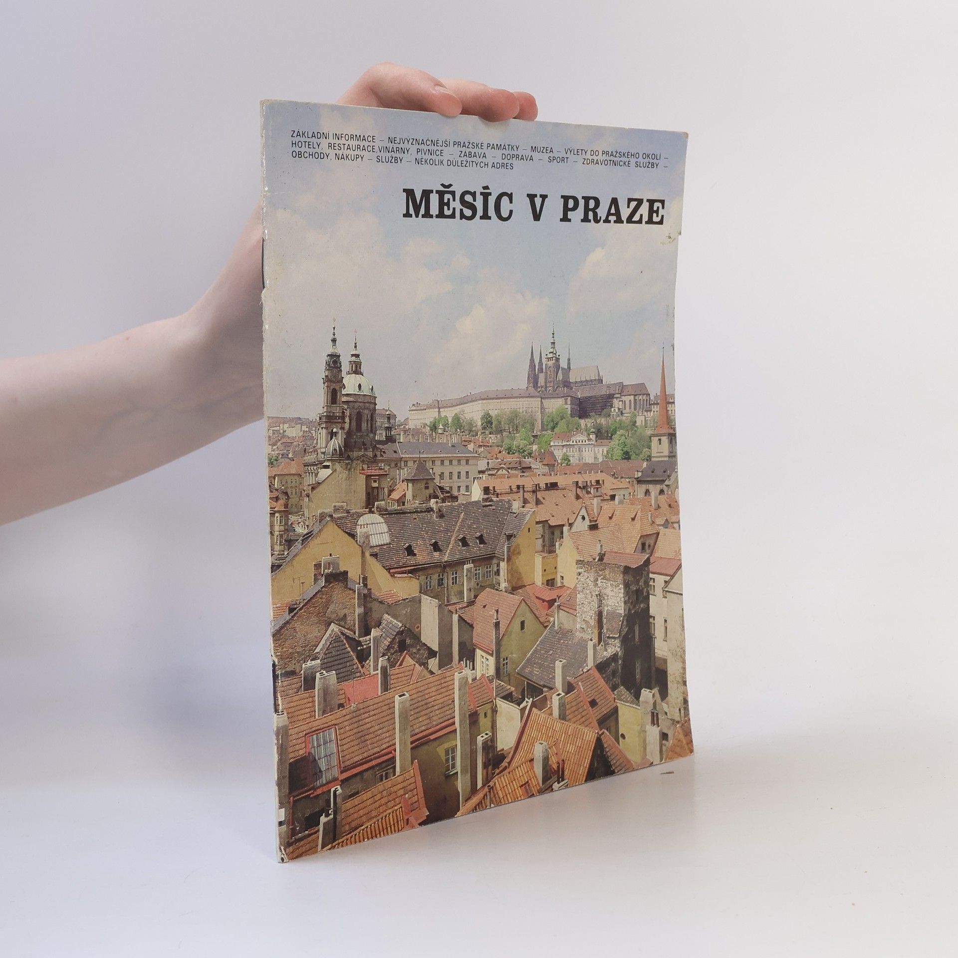 Kolektív autorov Měsíc v Praze