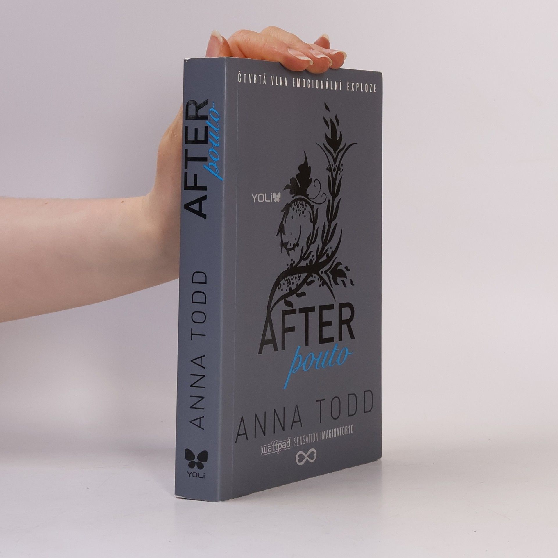 Anna Todd After. Pouto