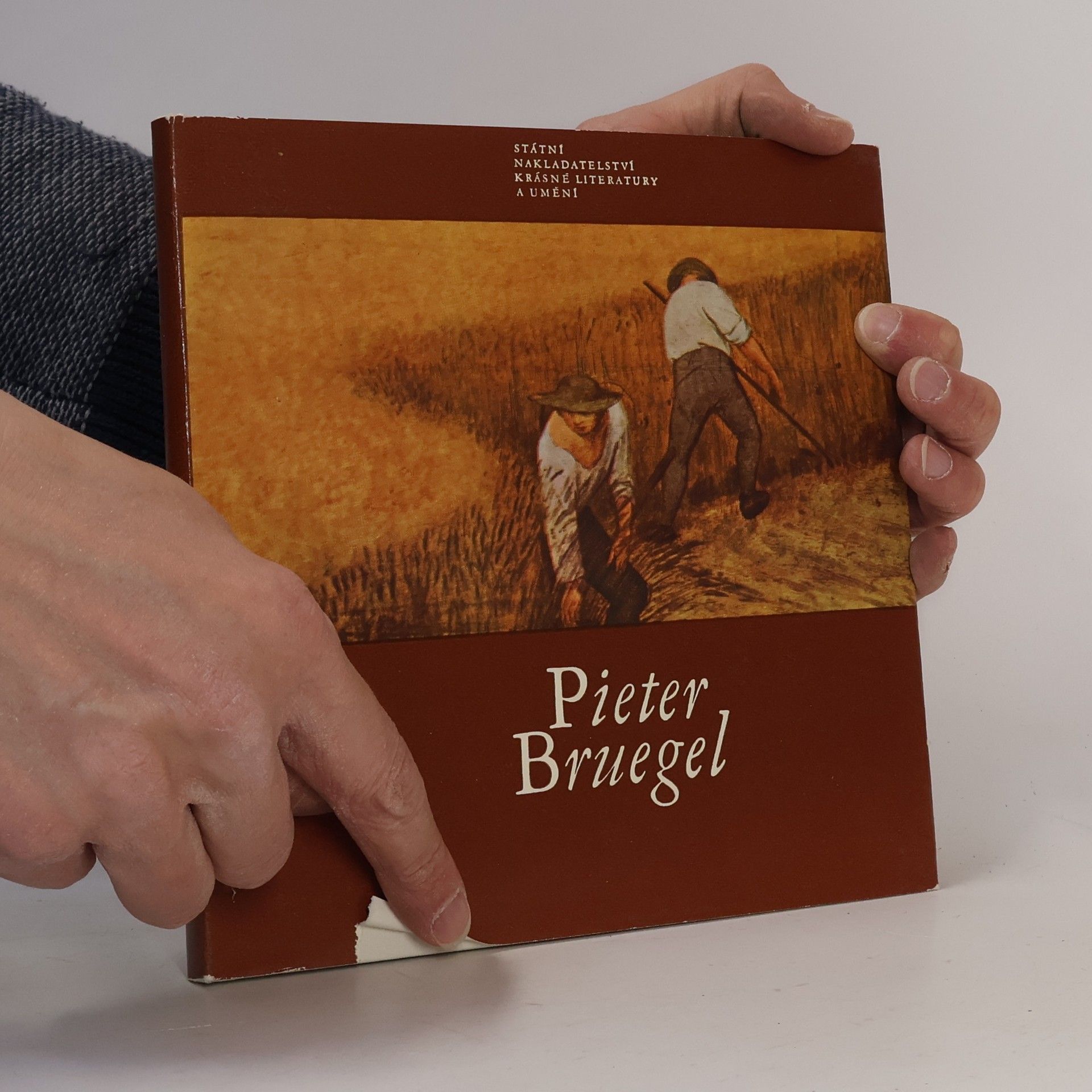 Jaromír Neumann Pieter Bruegel