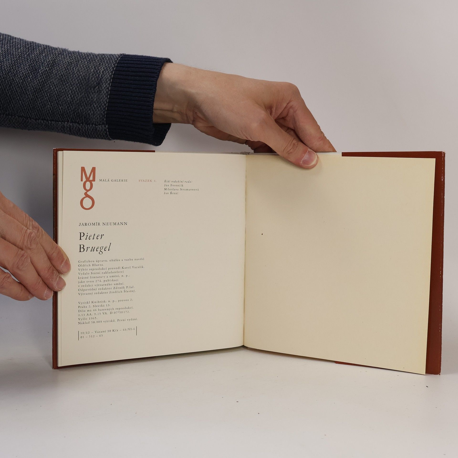 Jaromír Neumann Pieter Bruegel