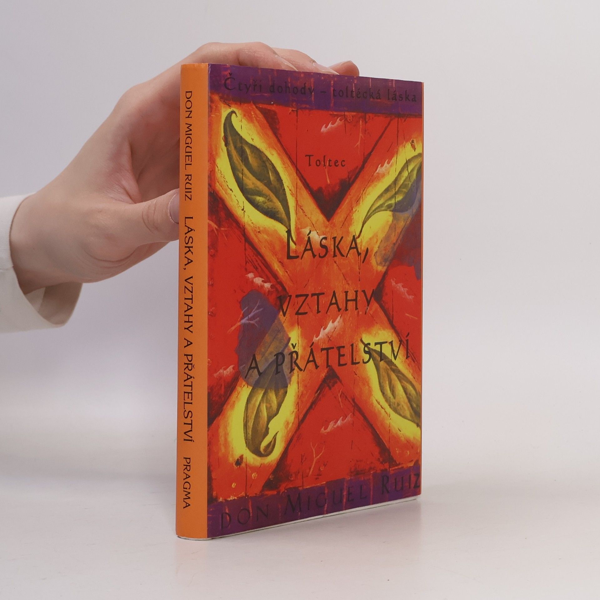 Don Miguel Ruiz Láska, vztahy a přátelství
