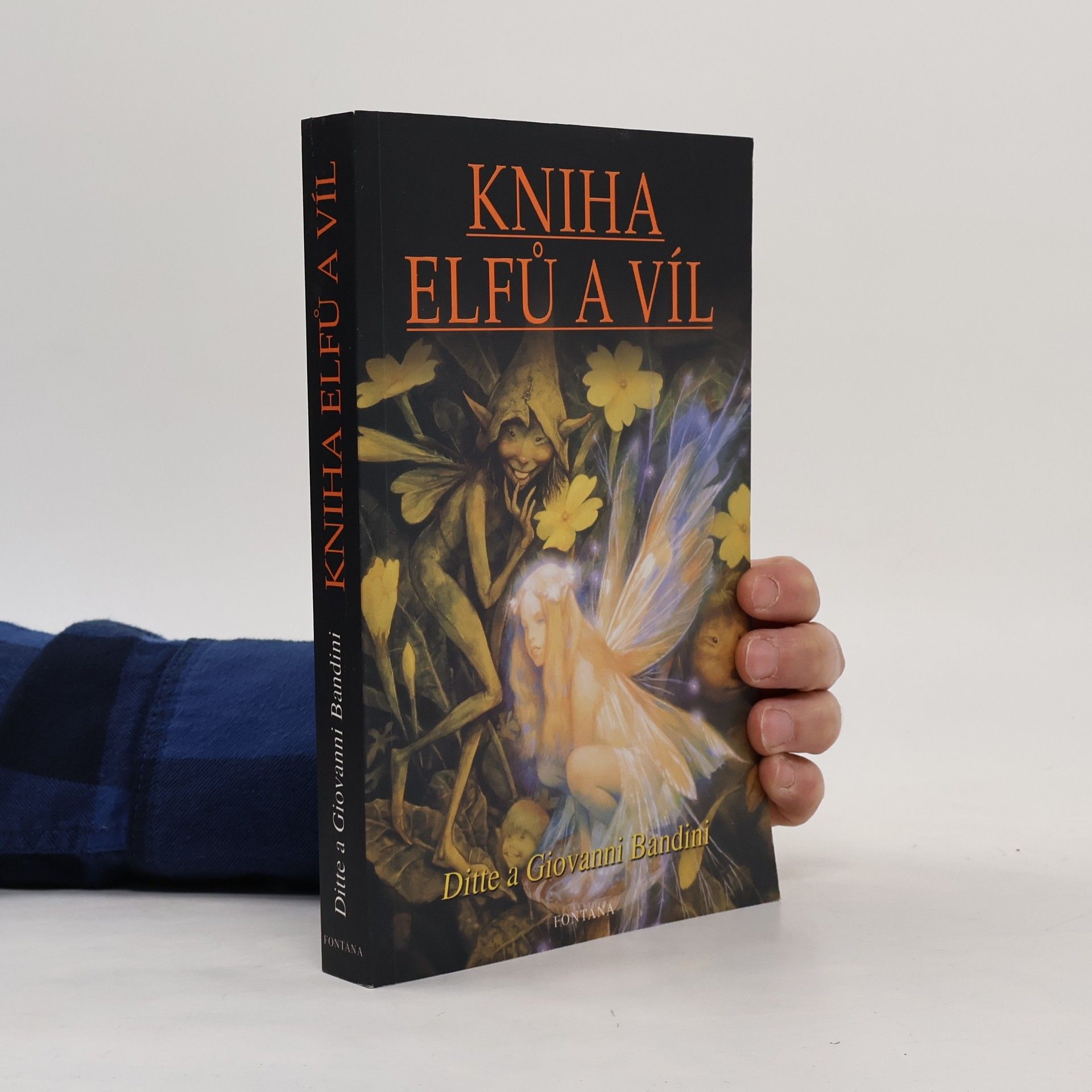 Giovanni Bandini Kniha elfů a víl
