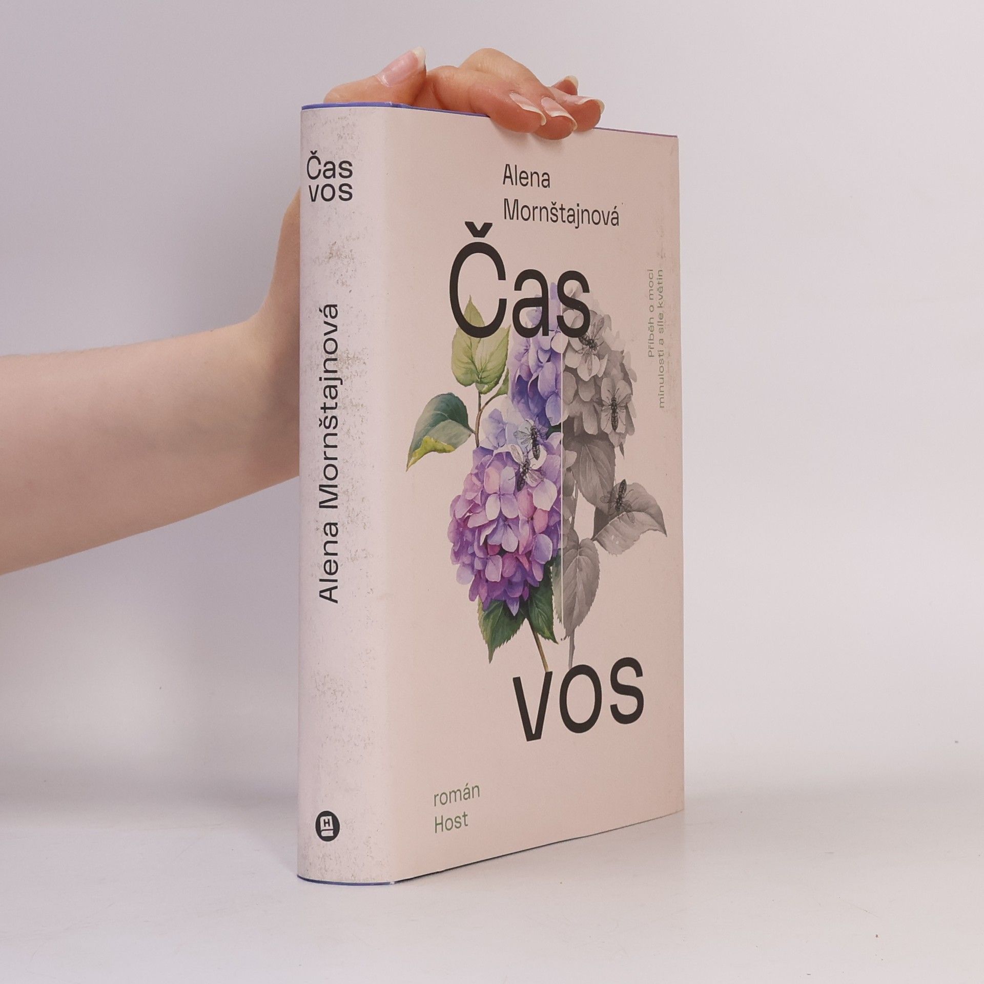 Alena Mornštajnová Čas vos