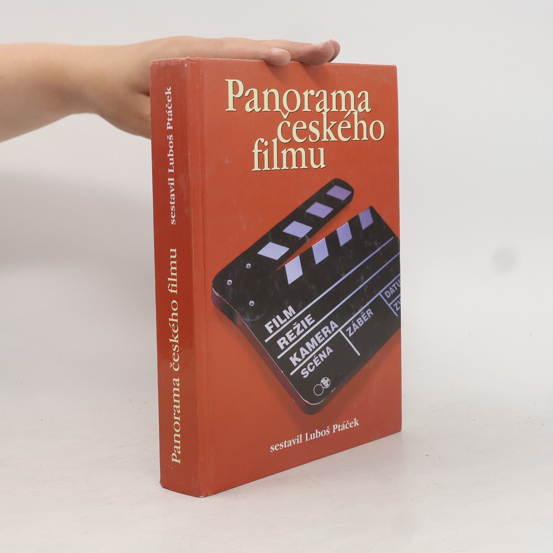 Petr Bilík Panorama českého filmu
