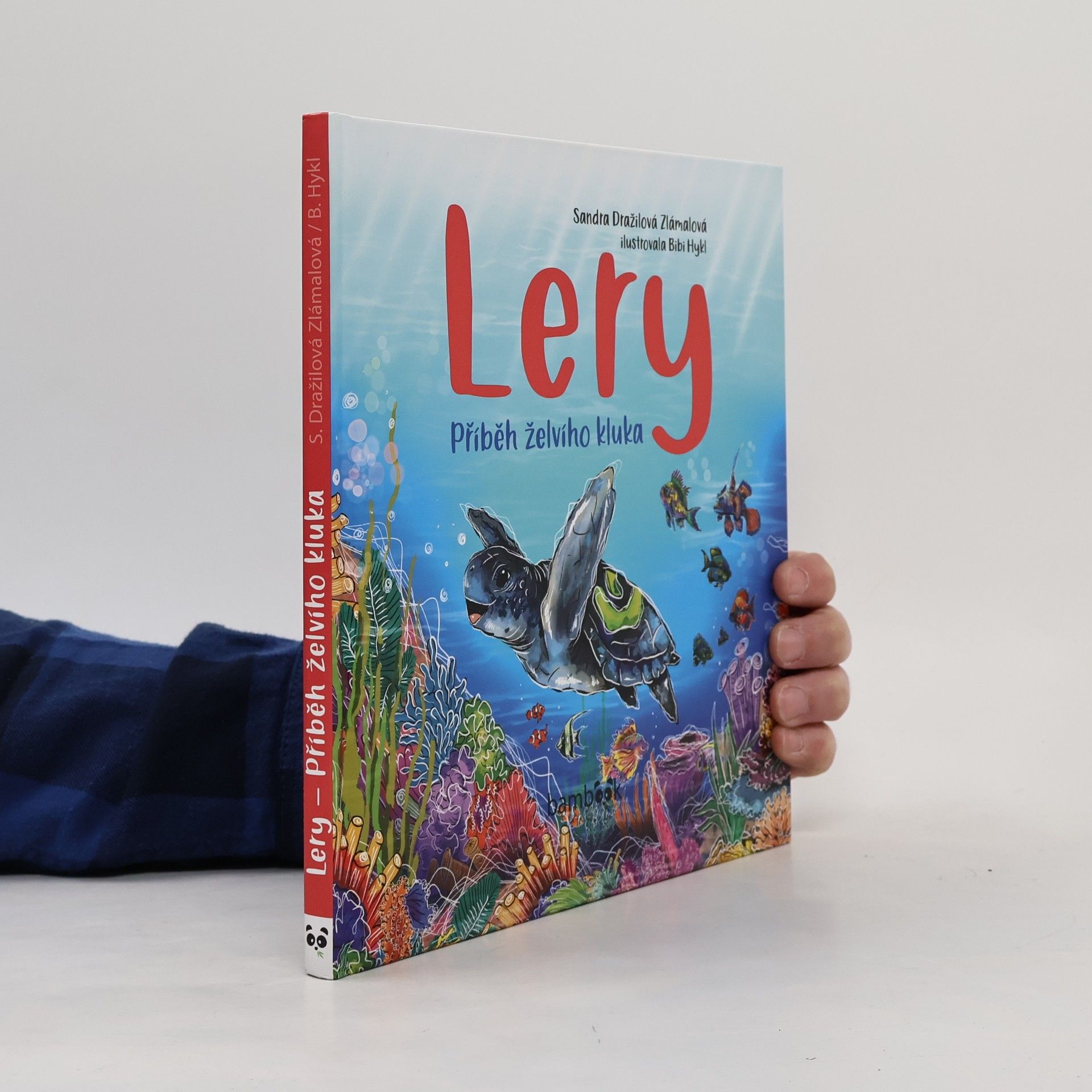 Bibi Hykl Lery : příběh želvího kluka