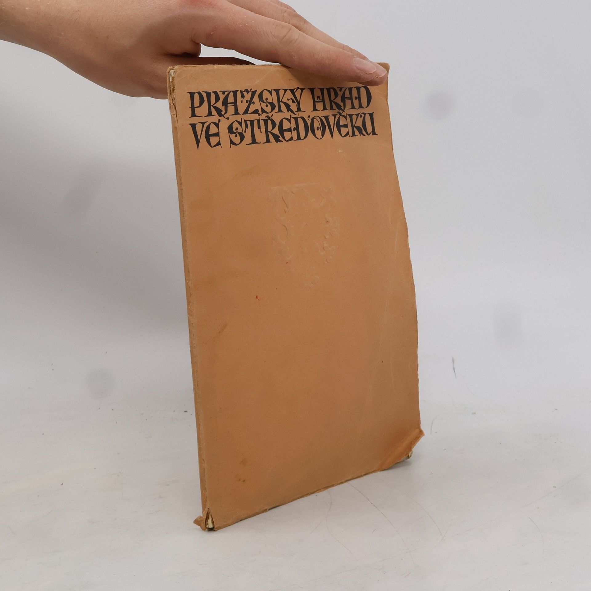 Various authors Pražský hrad ve středověku