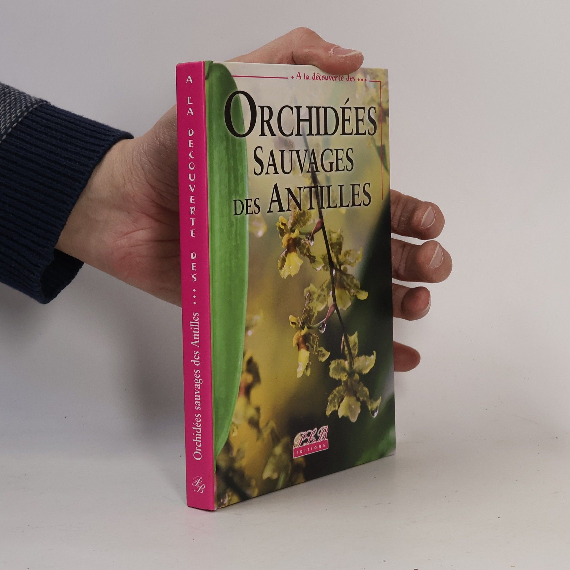 Philippe Feldmann Orchidées sauvages des Antilles françaises