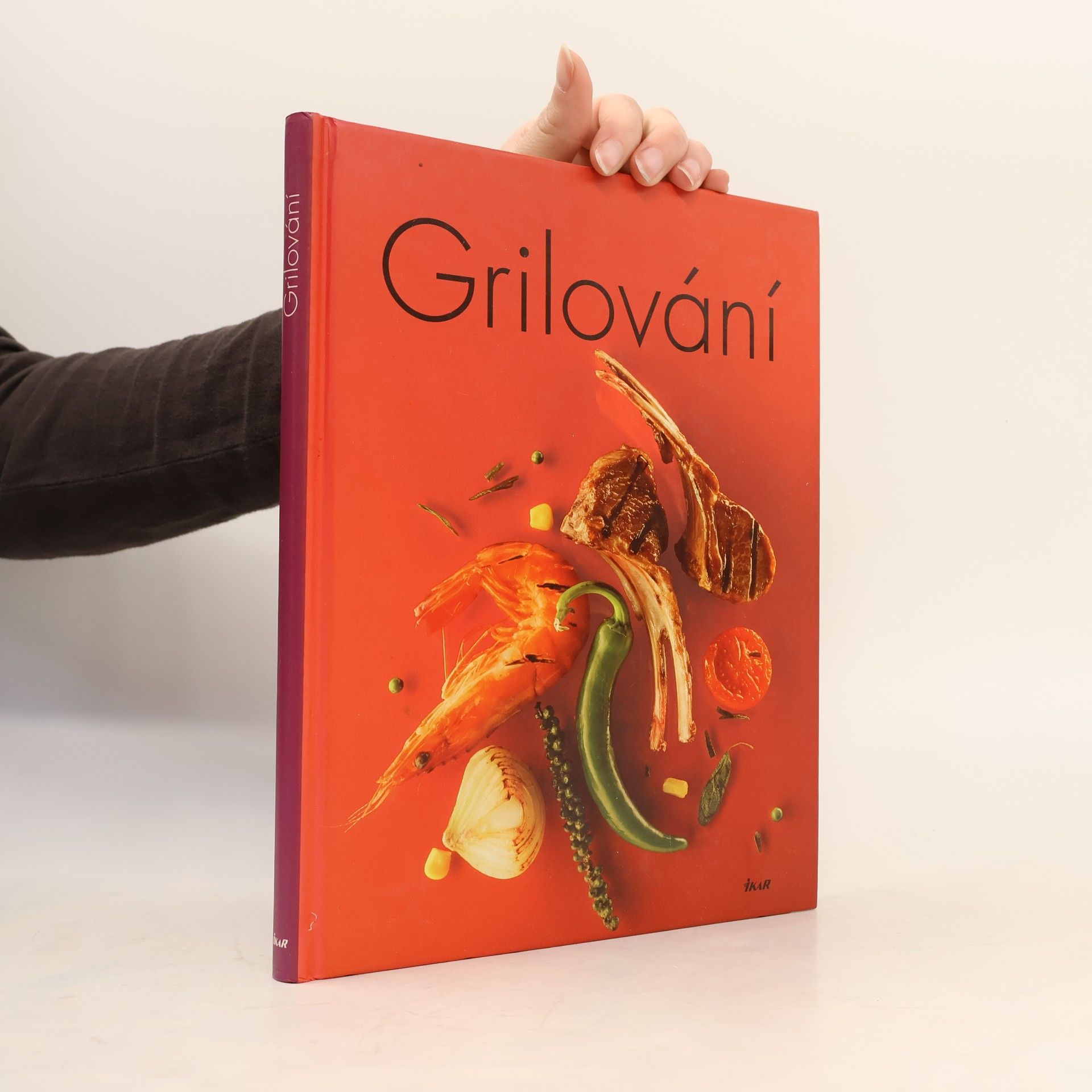 Collectif d'auteurs Grilování