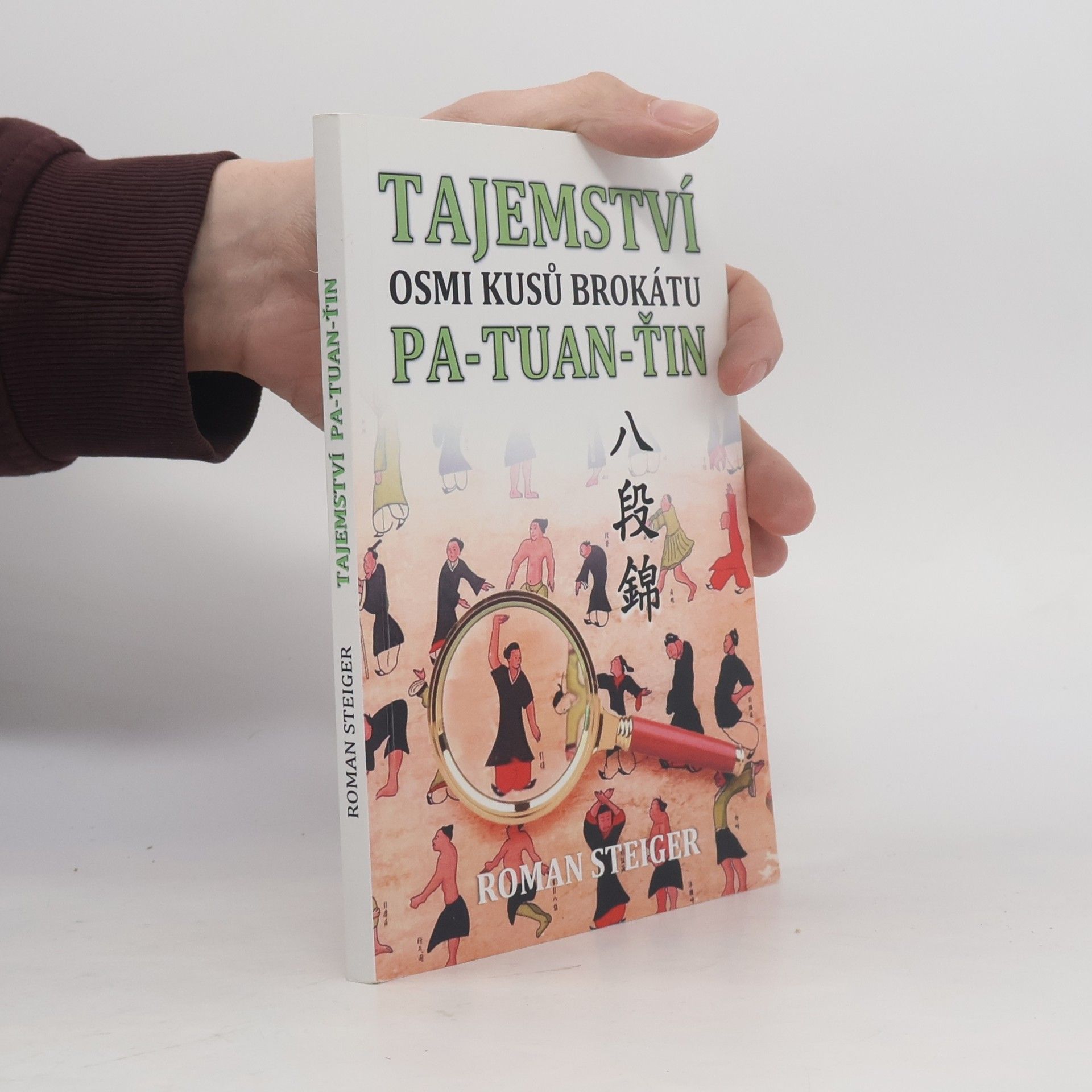 Roman Steiger Tajemství Osmi kusů brokátu Pa-tuan-ťin
