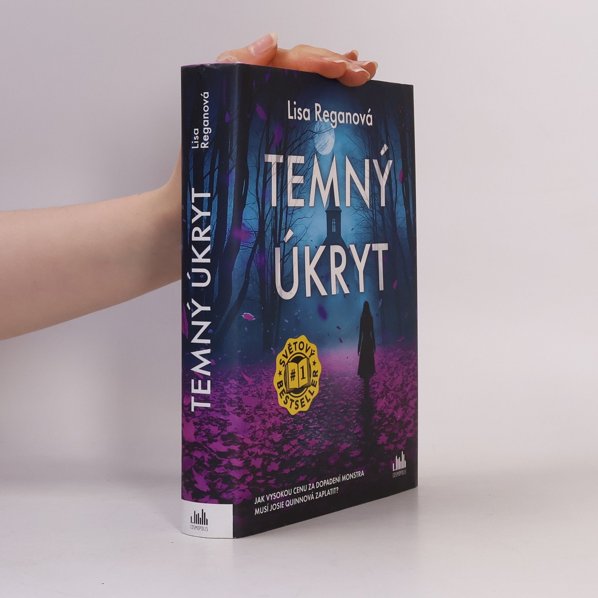 Lisa Regan Temný úkryt