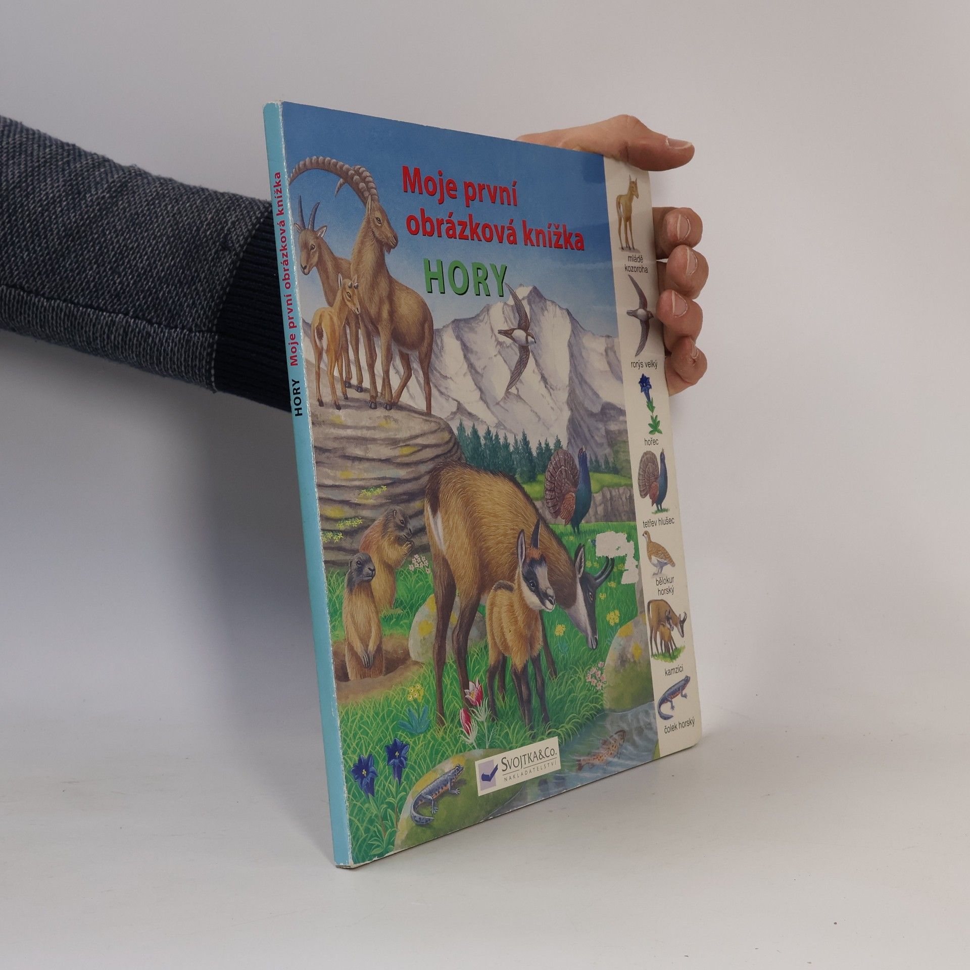 Autorenkollektiv Hory - Moja první obrázková knižka