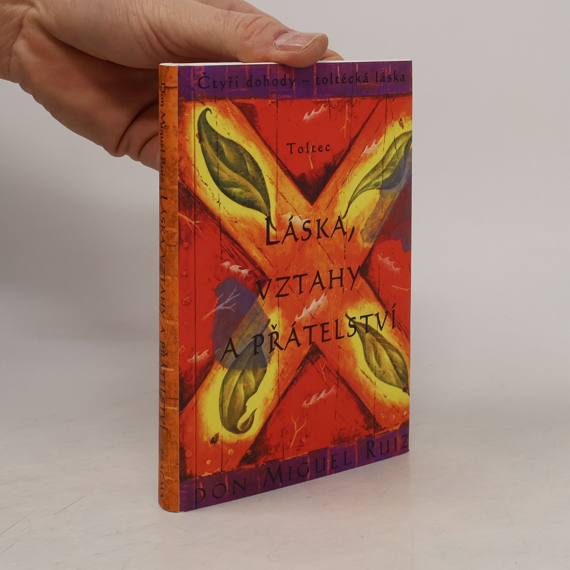 Don Miguel Ruiz Láska, vztahy a přátelství