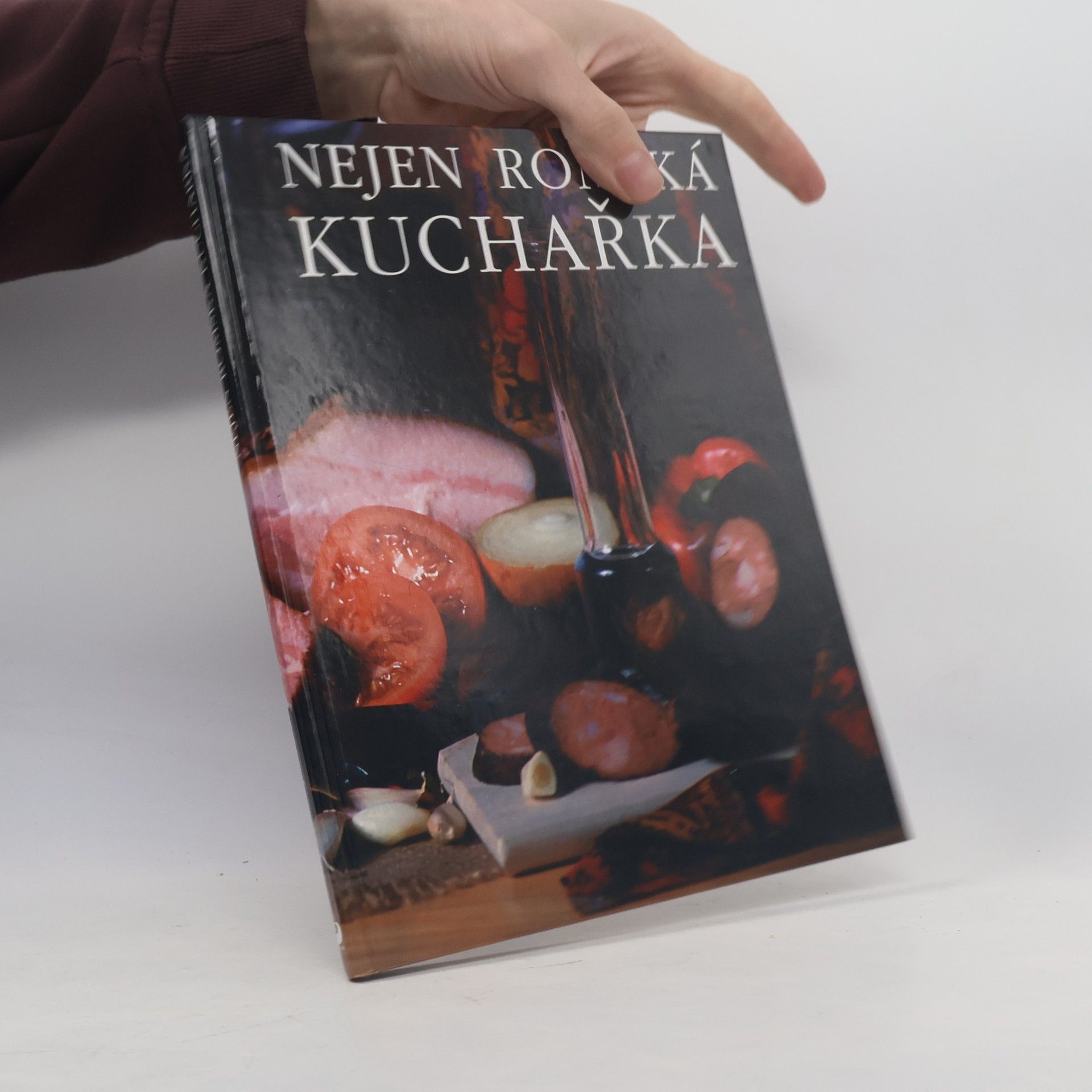 Lubomíra Oláhová Nejen romská kuchařka