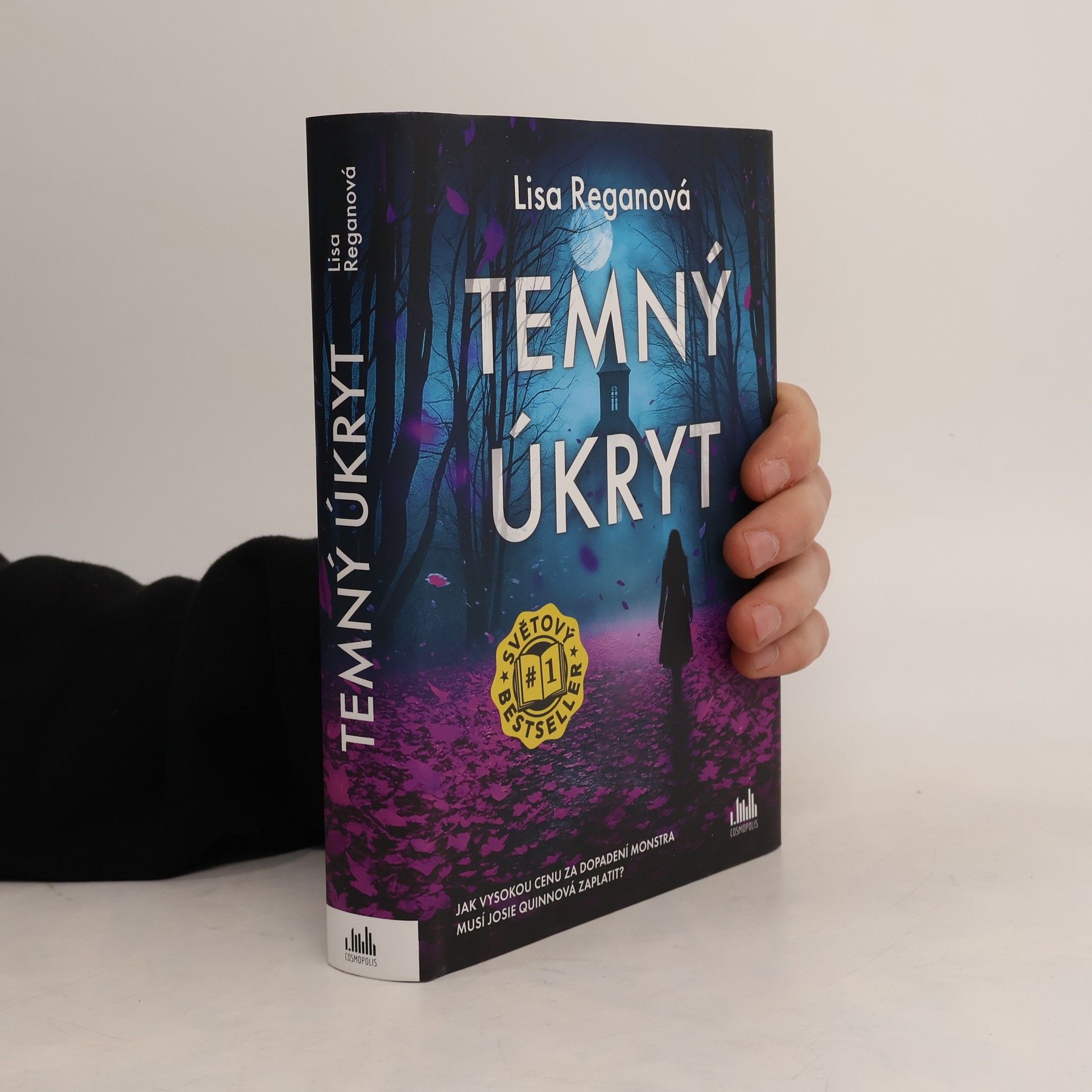 Lisa Regan Temný úkryt