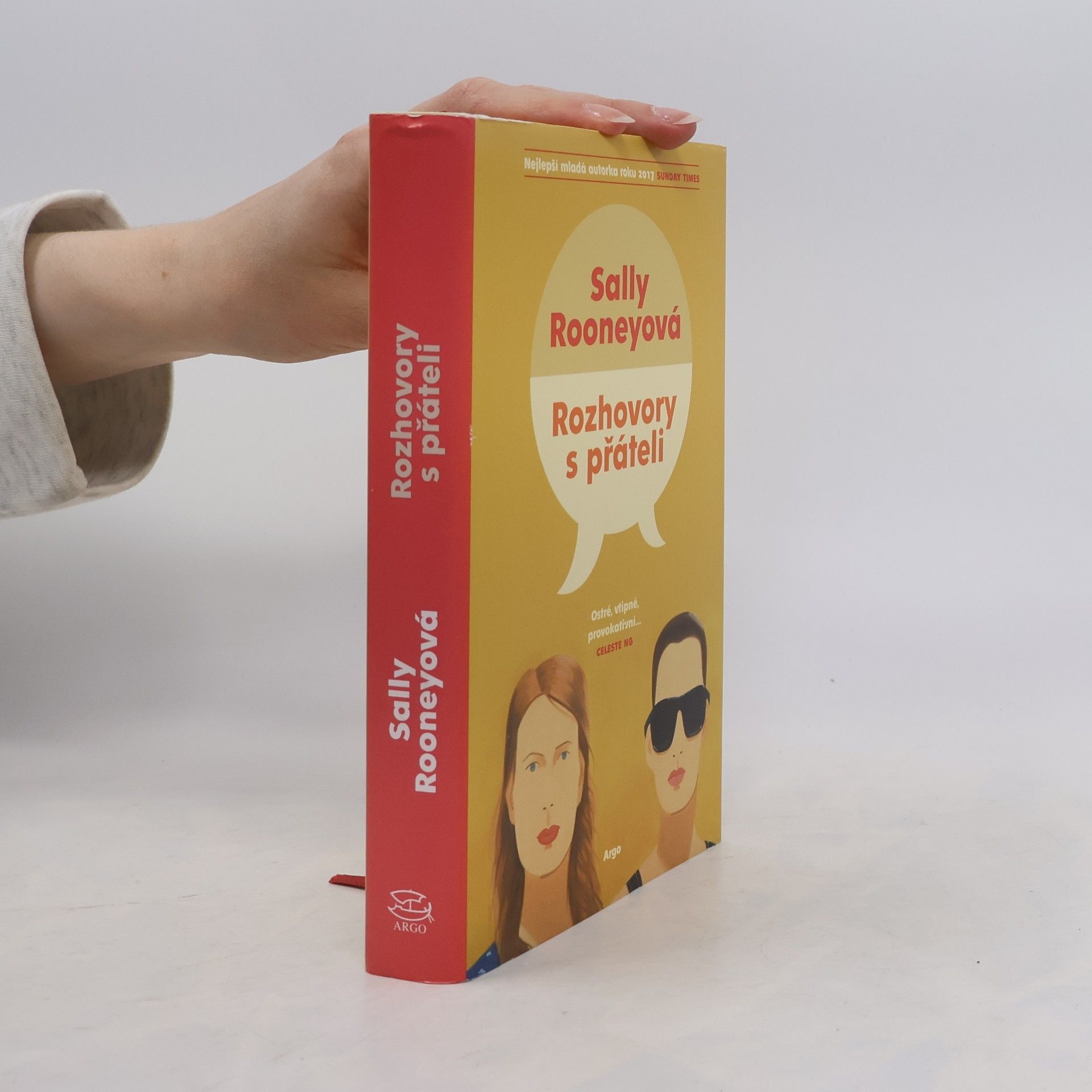 Sally Rooney Rozhovory s přáteli