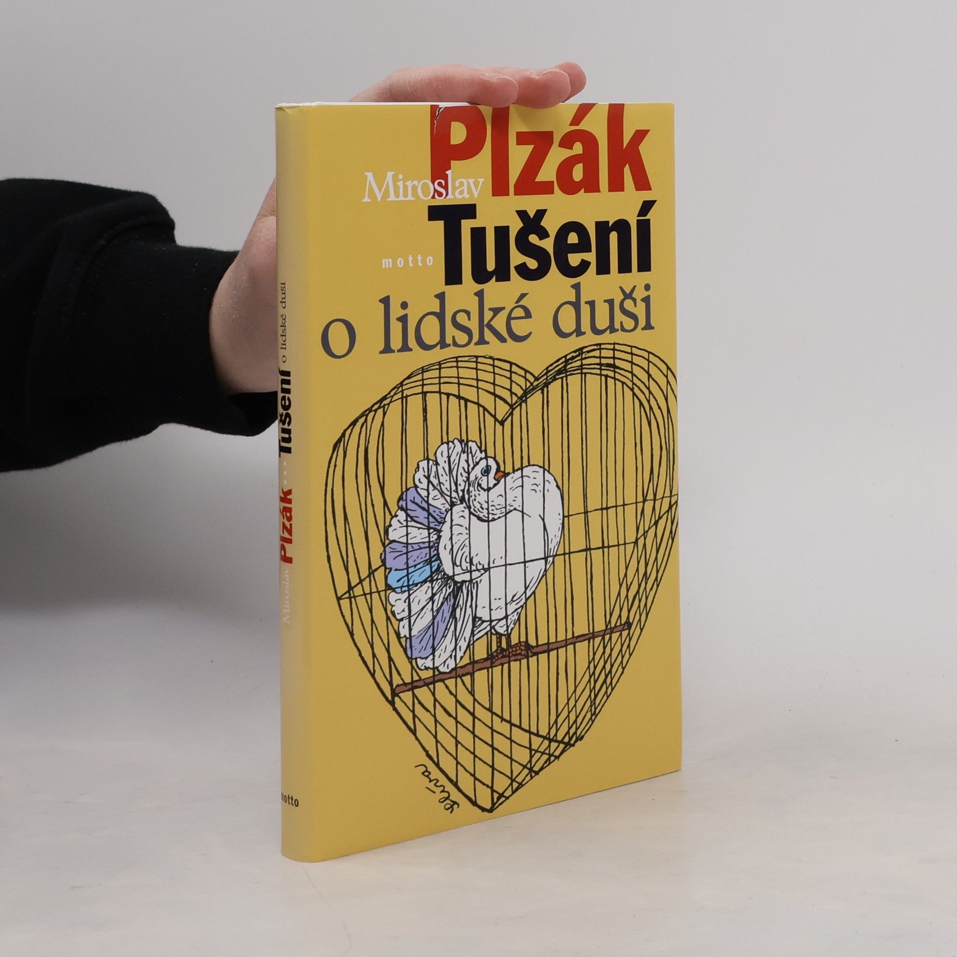 Miroslav Plzák Tušení o lidské duši