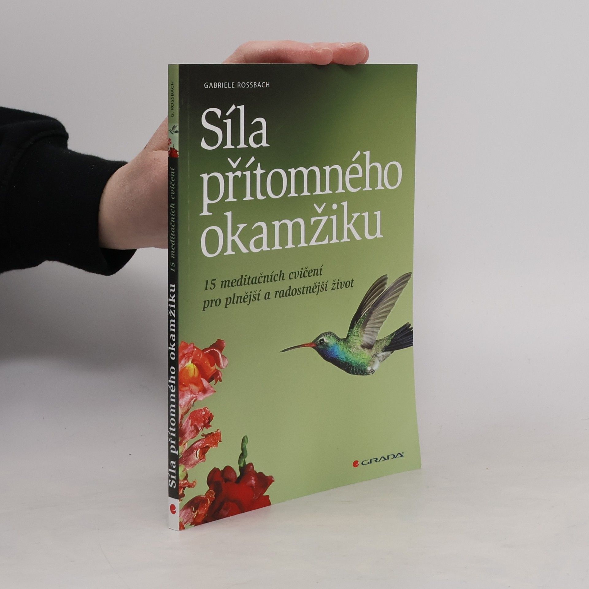 Gaby Rossbach Síla přítomného okamžiku