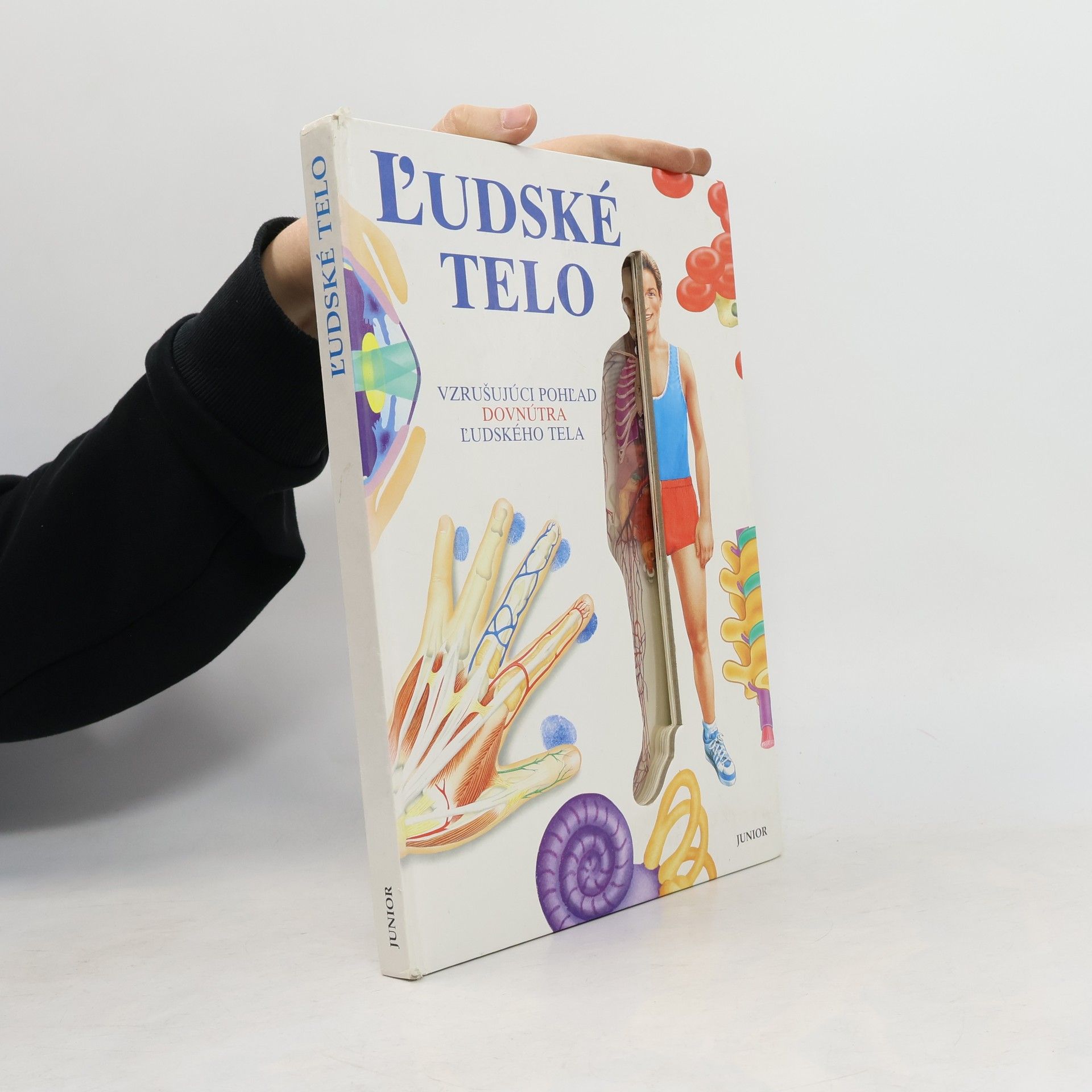 Collectif d'auteurs Ľudské telo