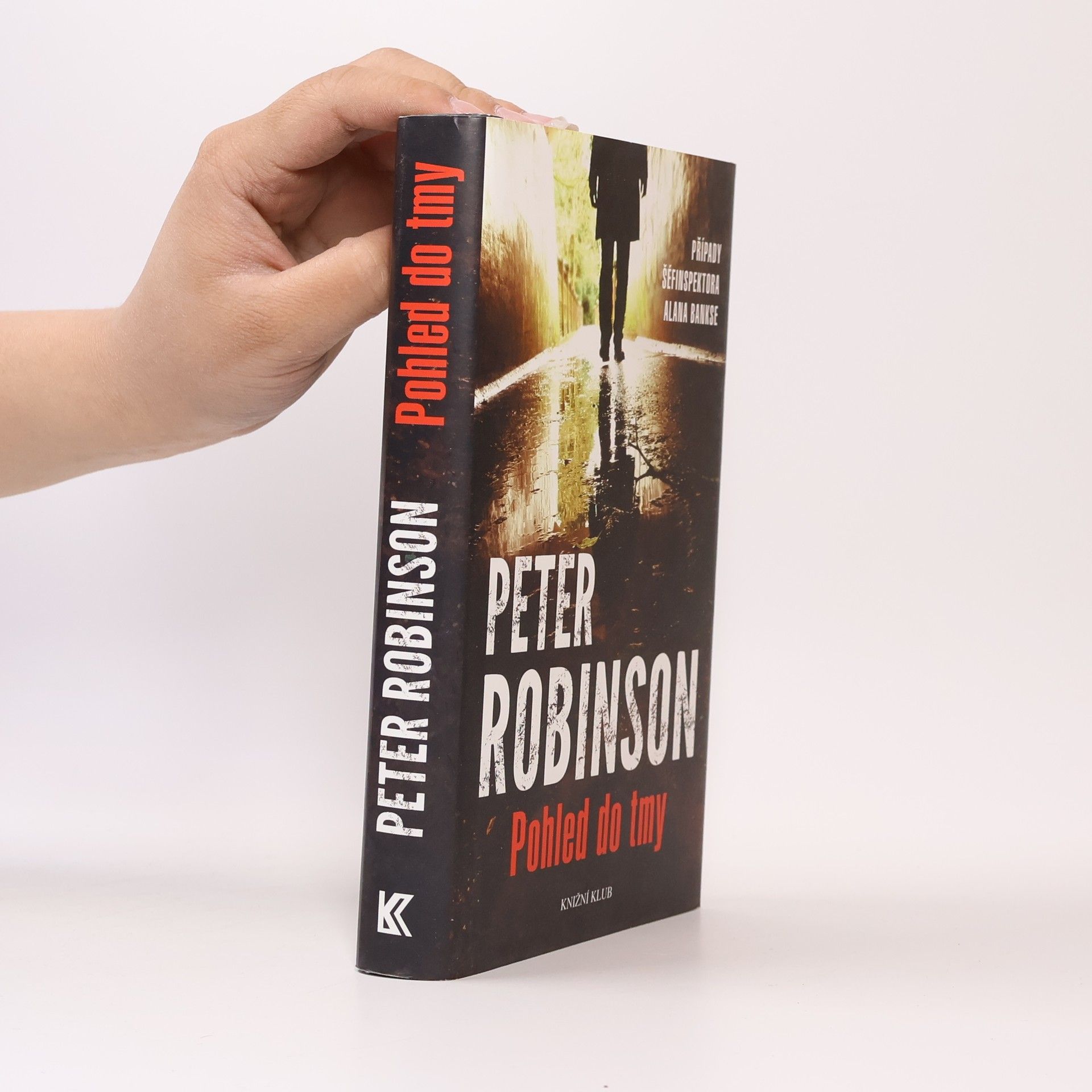 Peter Robinson Pohled do tmy
