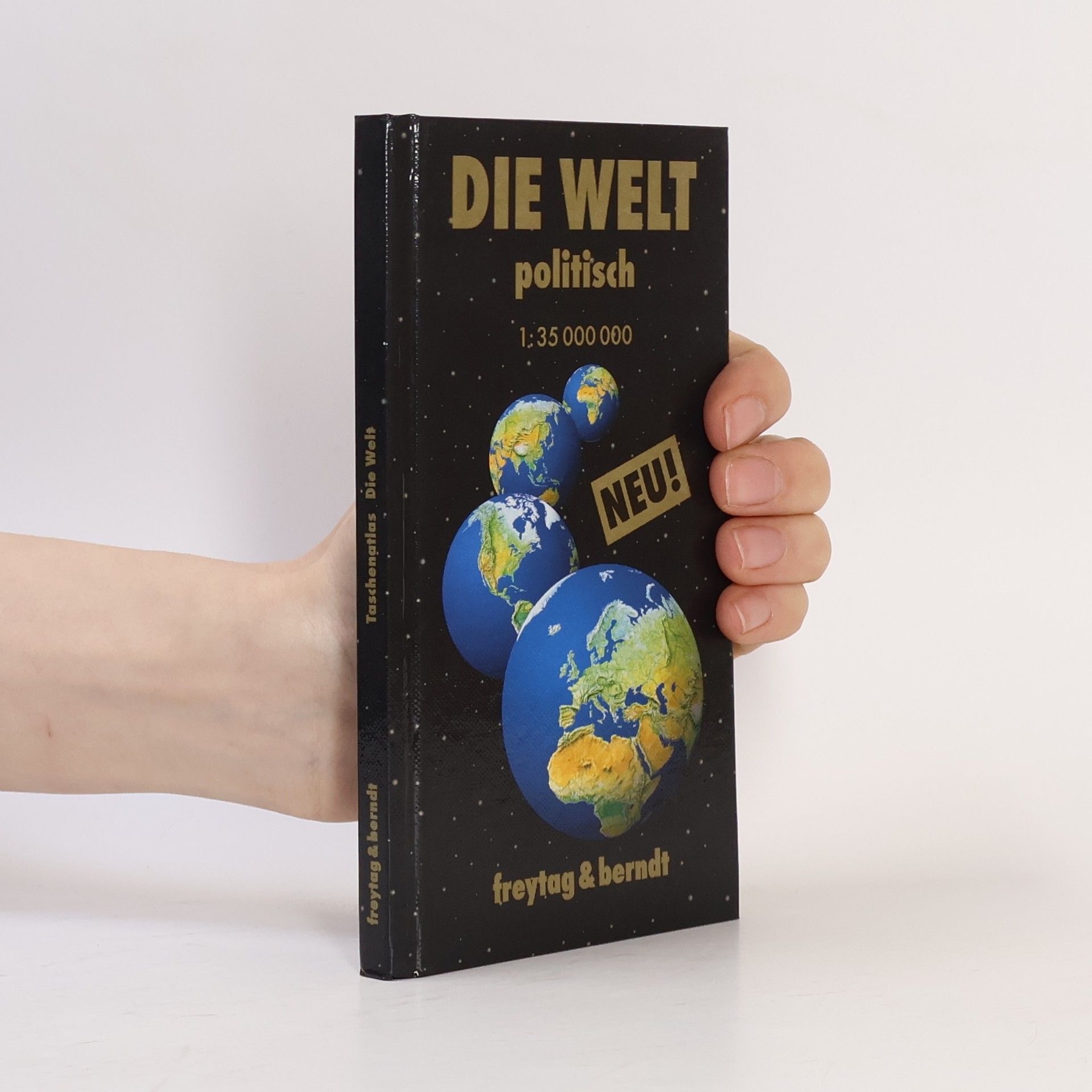 Various authors Die welt politisch