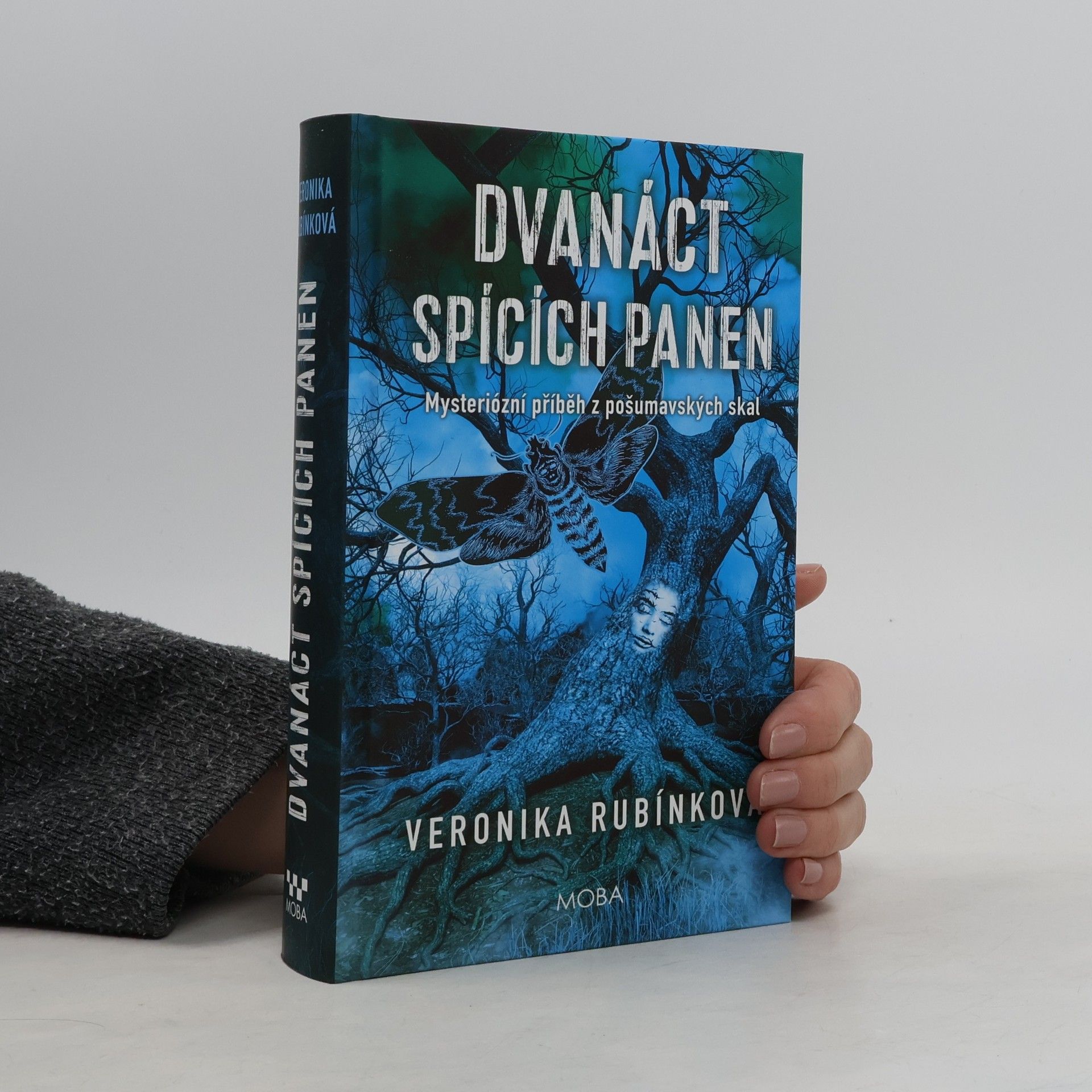 Dvanáct spících panen