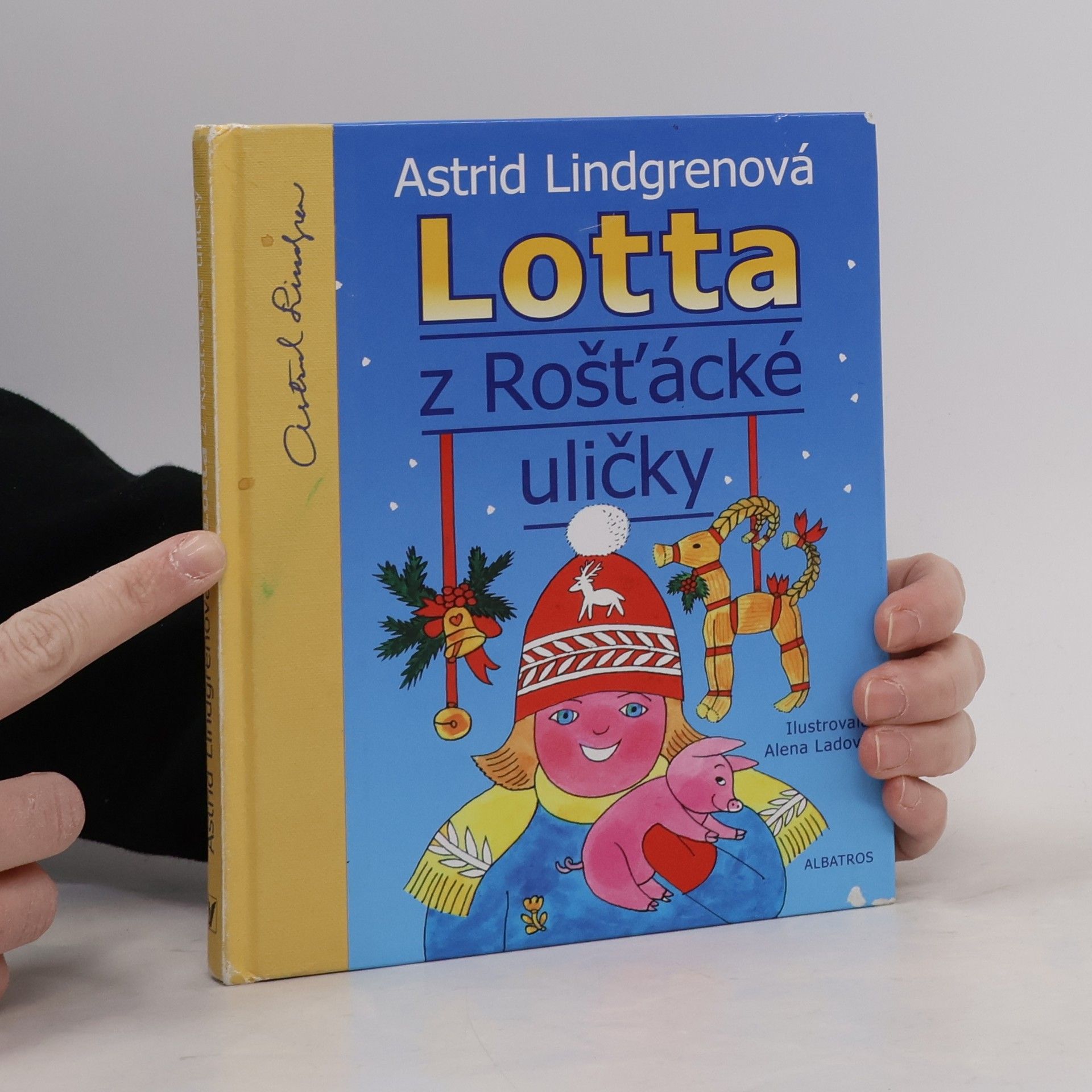 Karel Šebesta Lotta z Rošťácké uličky