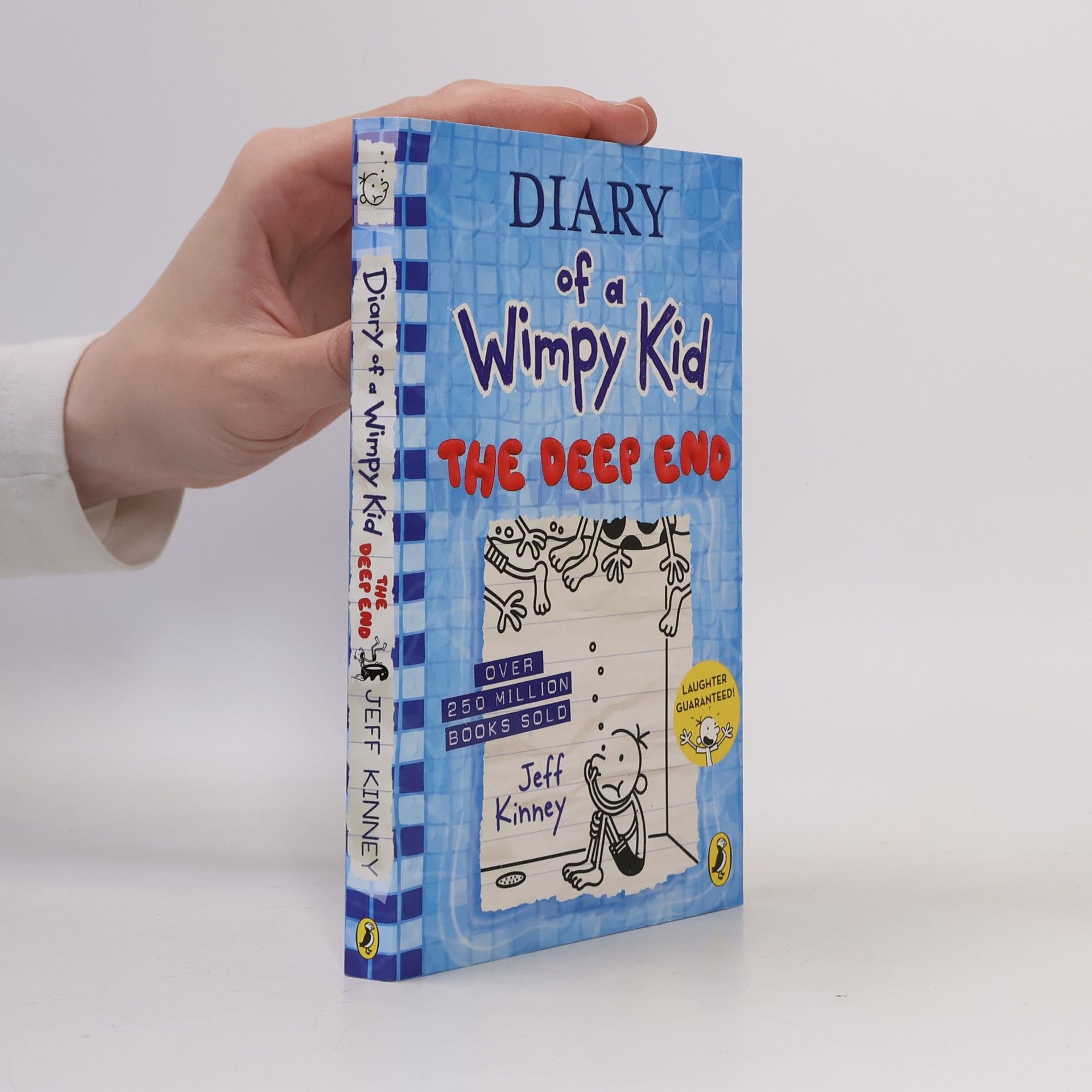 Jeff Kinney Diary of a Wimpy Kid 15: The Deep End