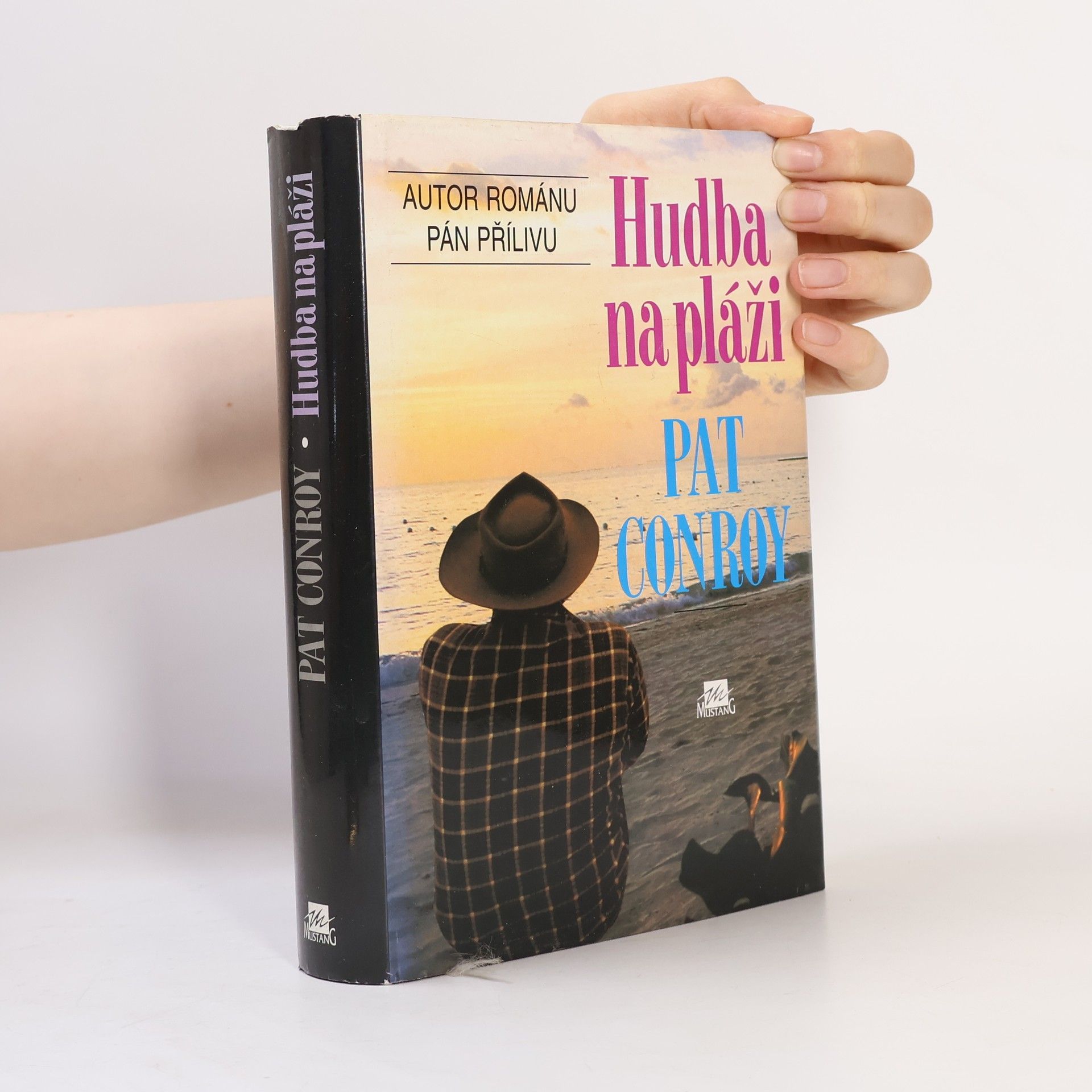 Pat Conroy Hudba na pláži