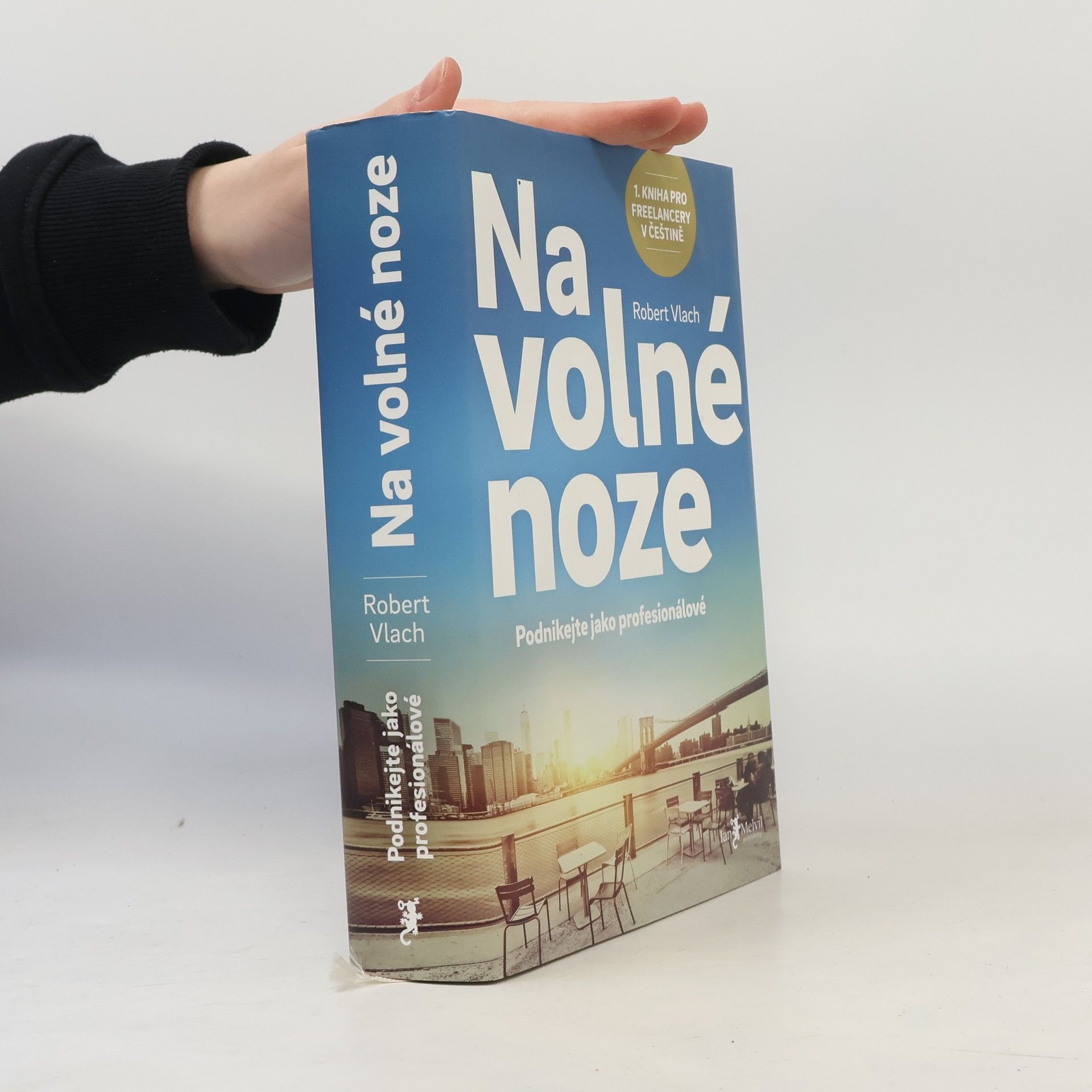 Robert Vlach (podnikatel) Na volné noze