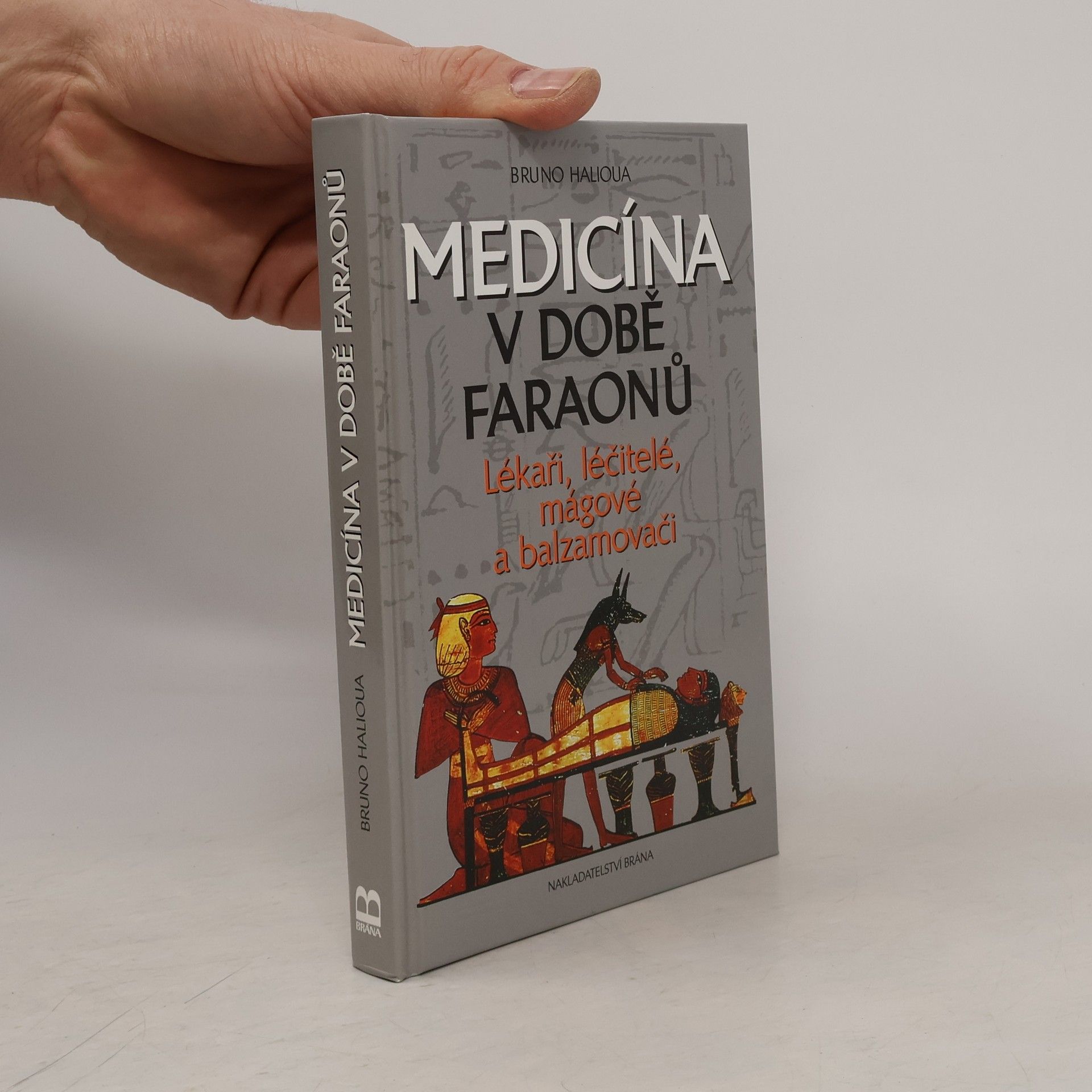 Bruno Halioua Medicína v době faraonů : lékaři, léčitelé, mágové a balzamovači