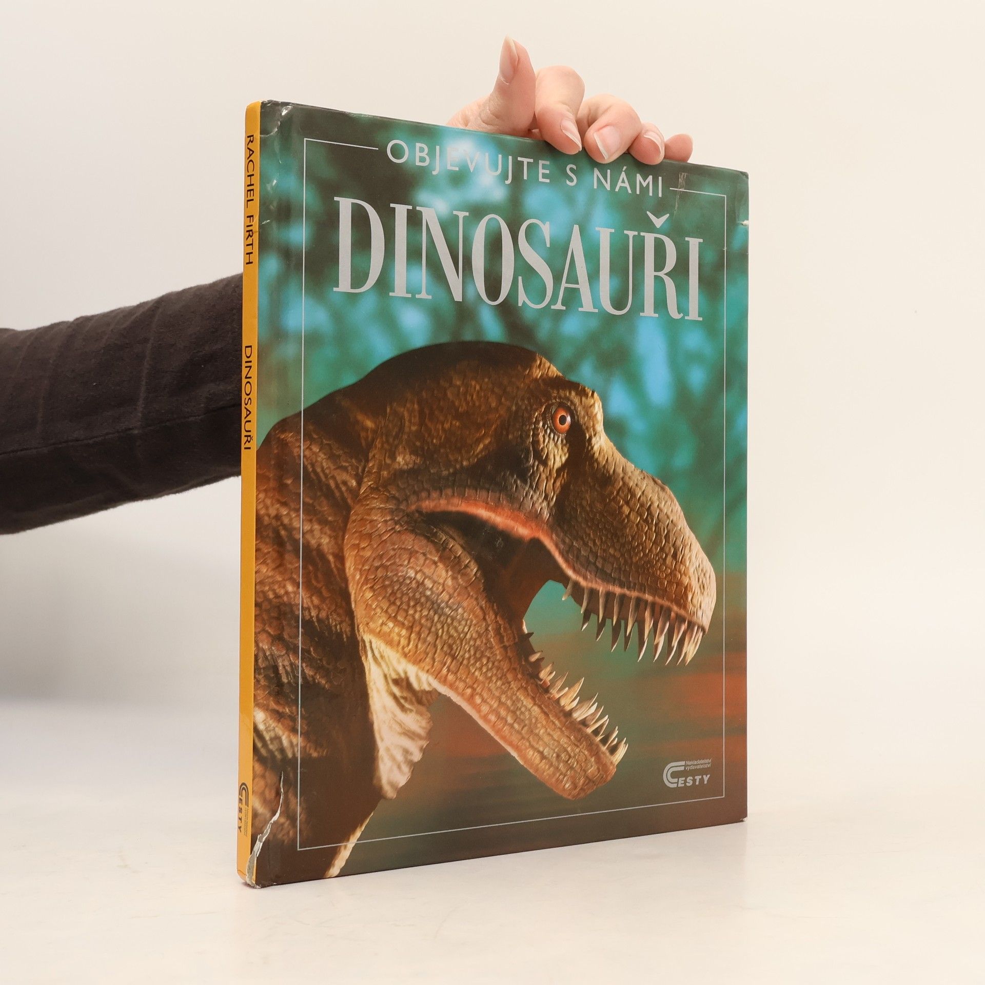 Rachel Firth Dinosauři