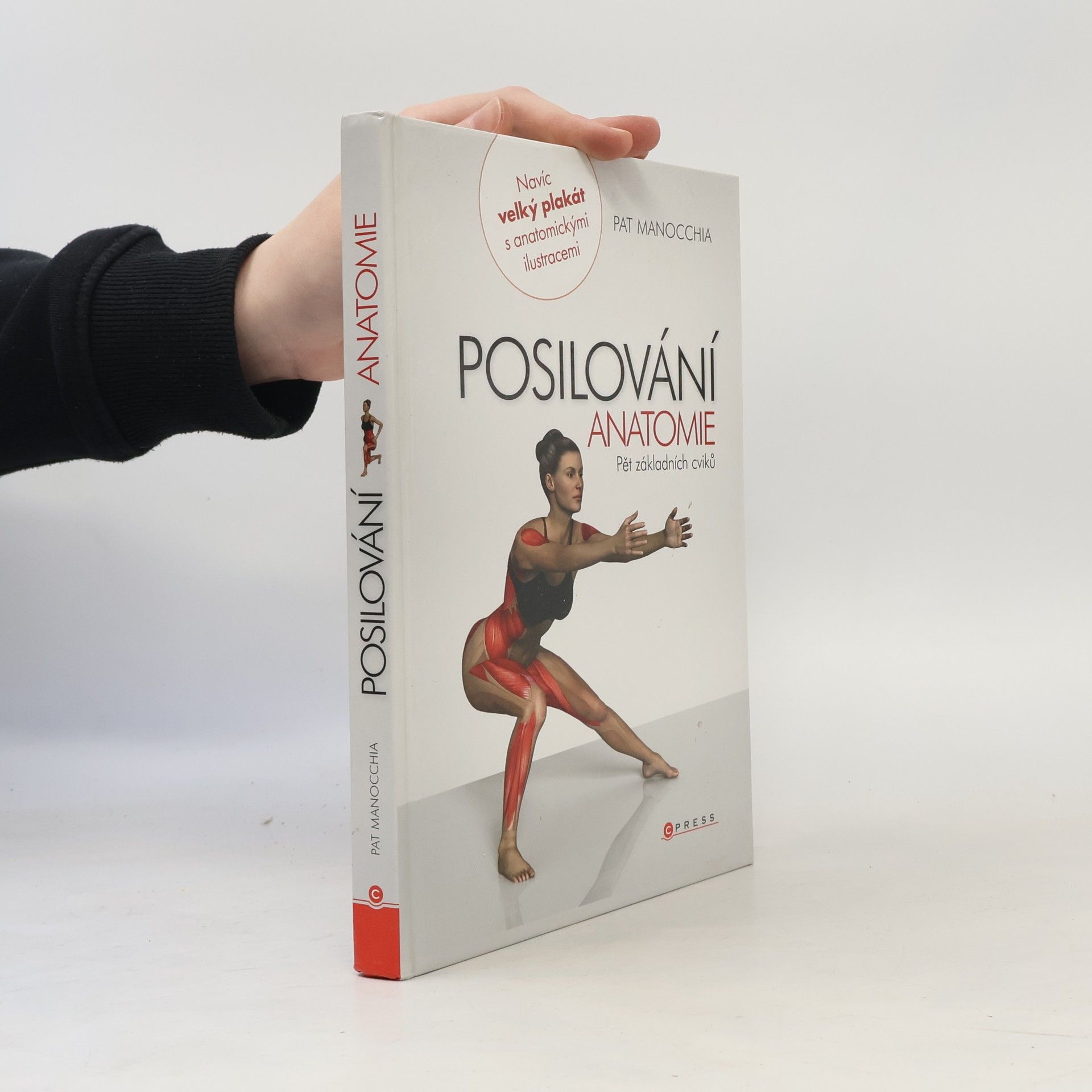Posilování - anatomie. Pět základních cviků