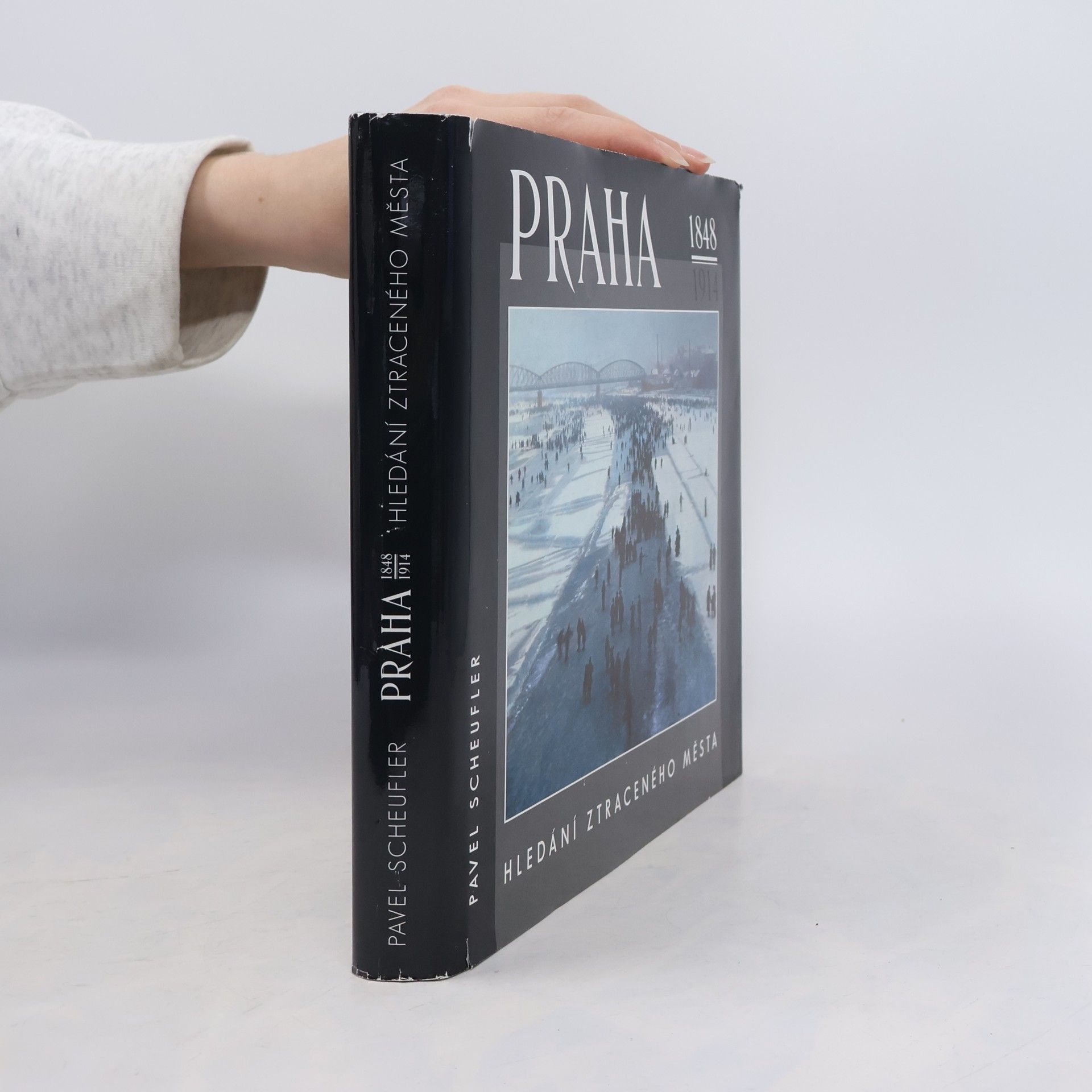 Pavel Scheufler Praha 1848-1914 : hledání ztraceného města
