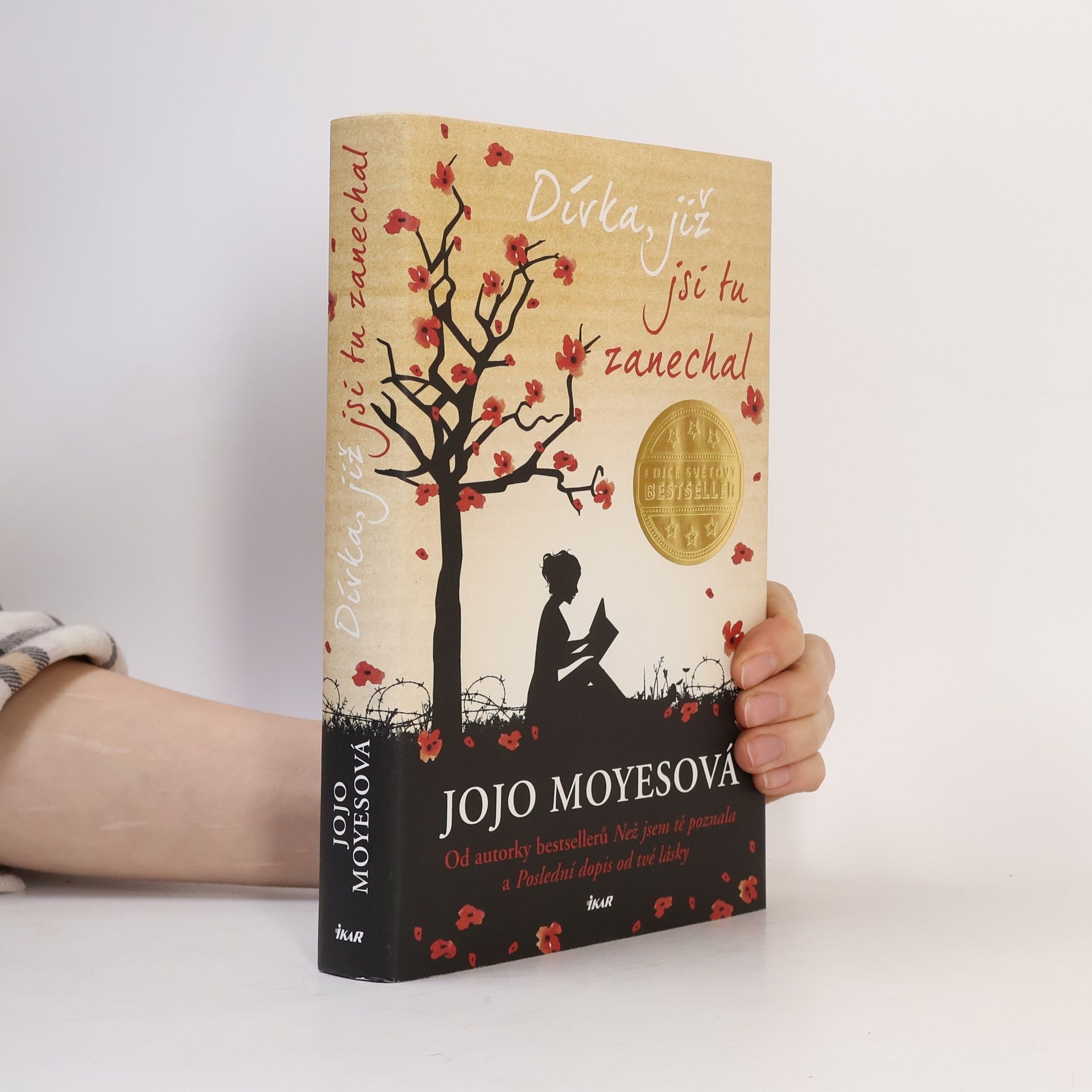 Jojo Moyes Dívka, již jsi tu zanechal