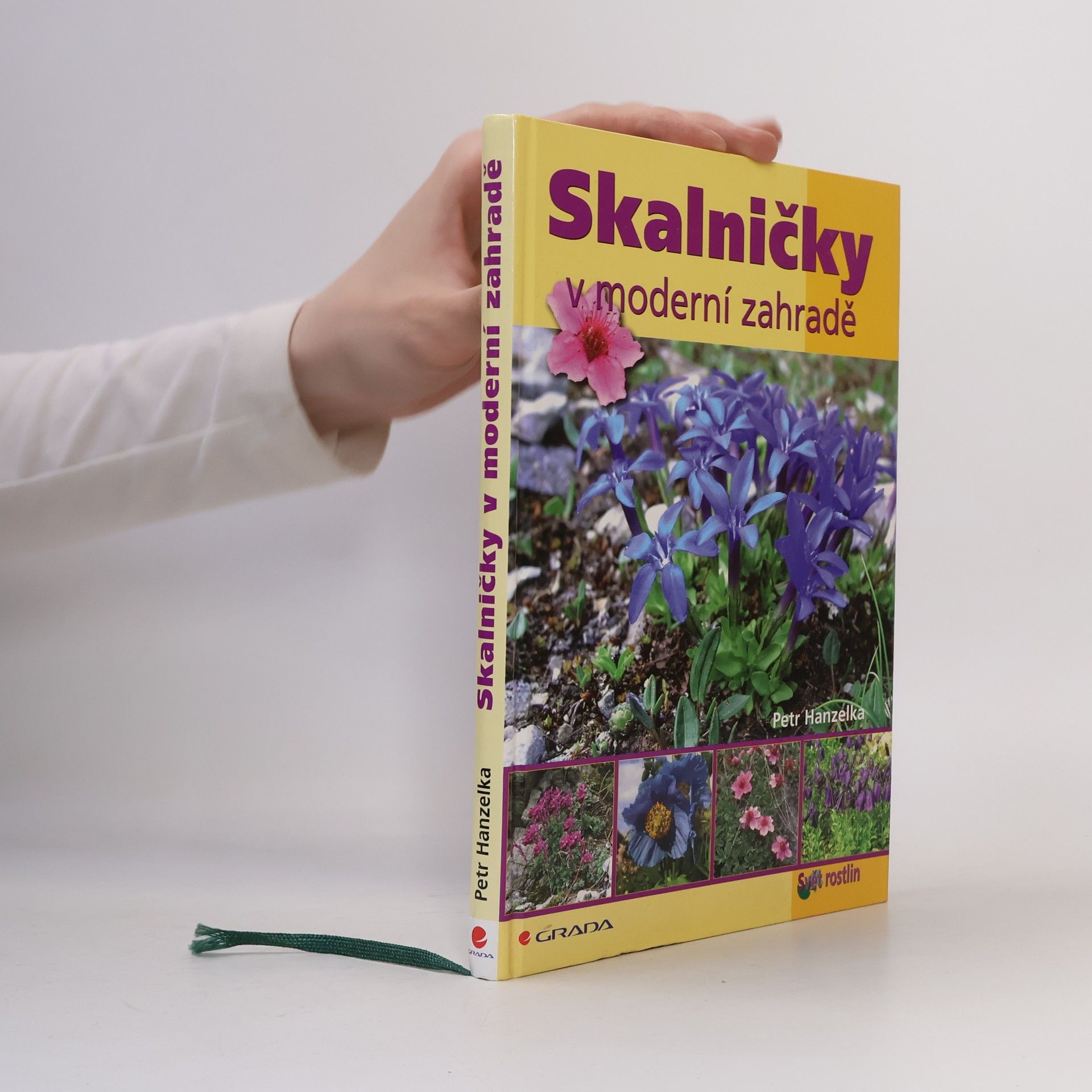 Skalničky v moderní zahradě
