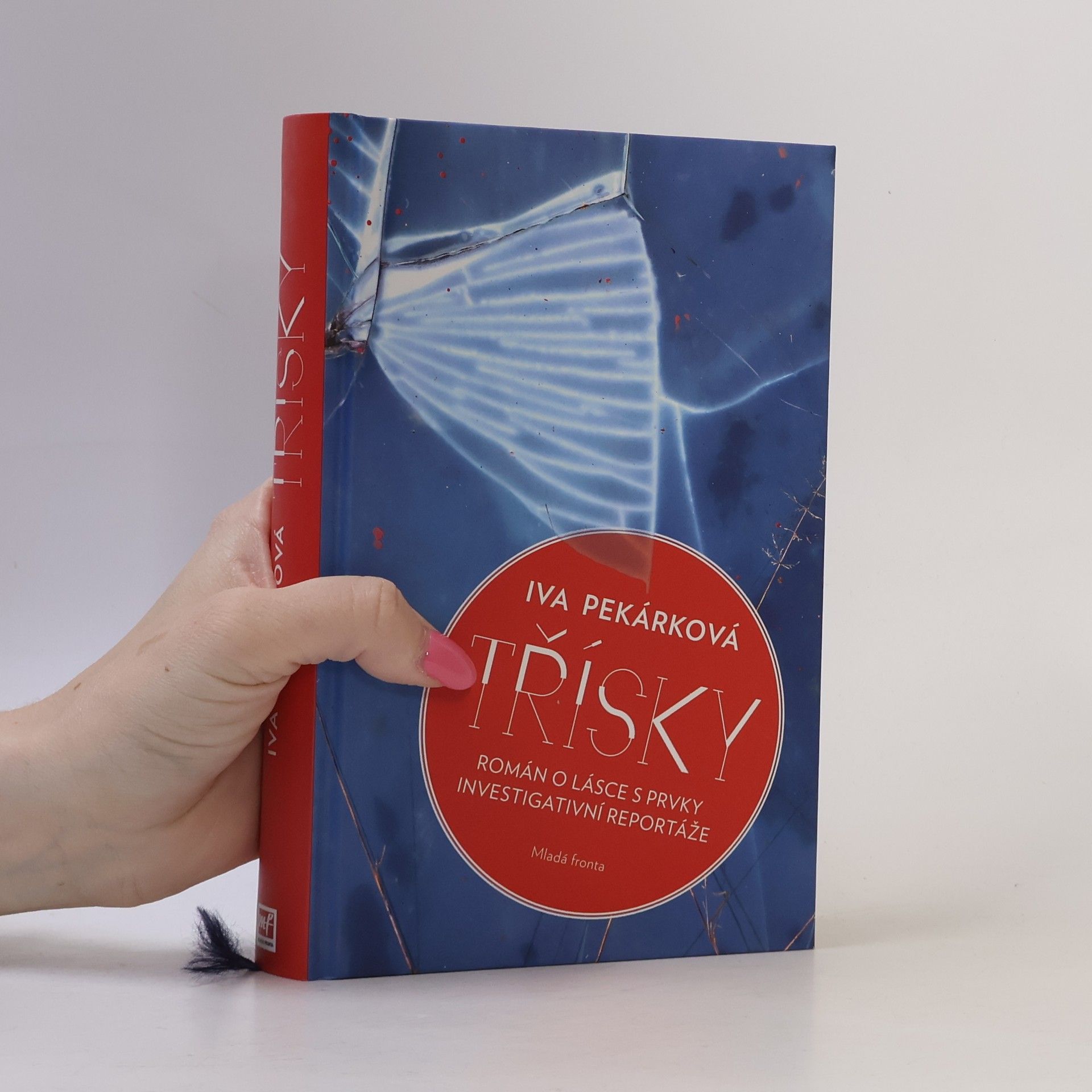Třísky: Román o lásce s prvky investigativní reportáže