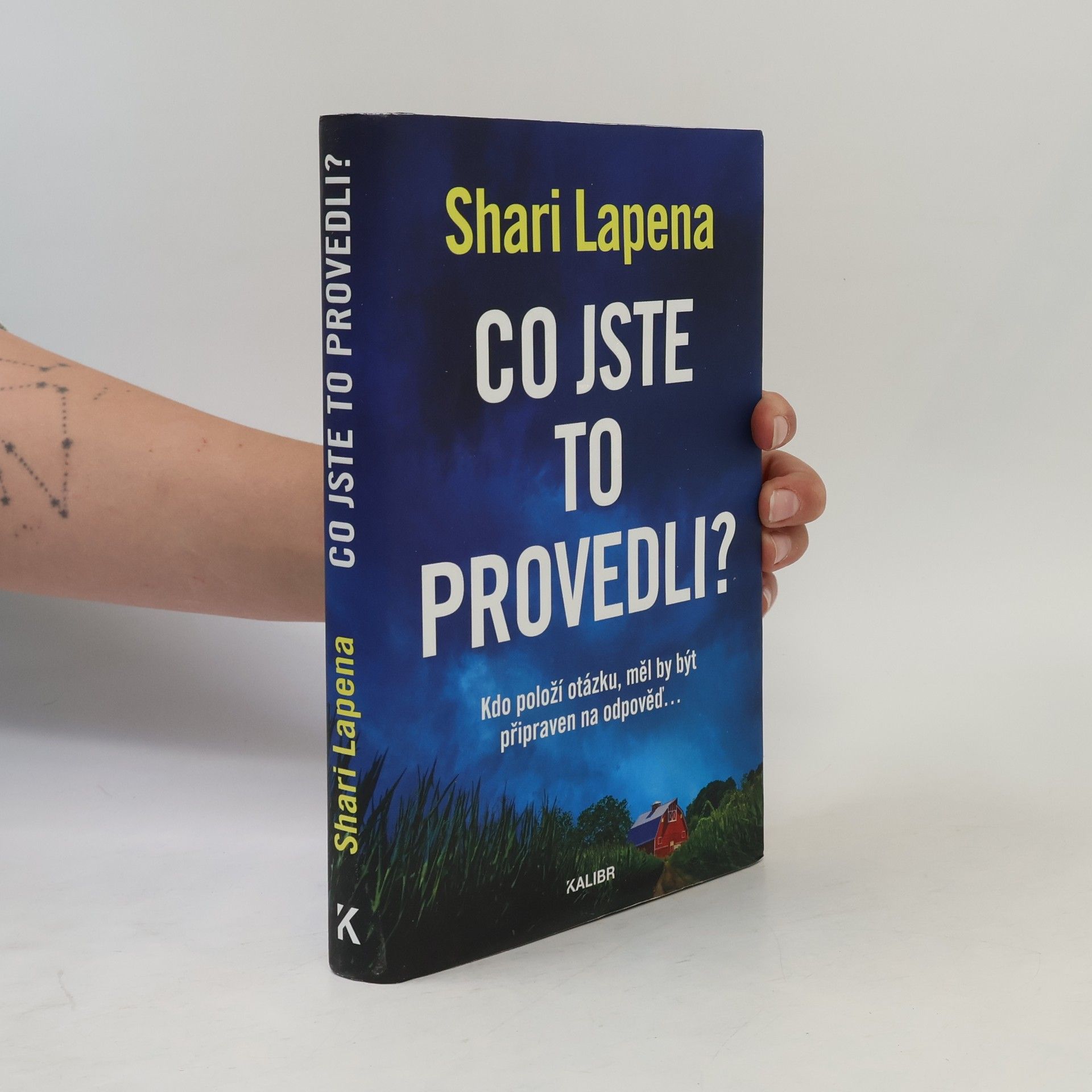 Shari Lapena Co jste to provedli?