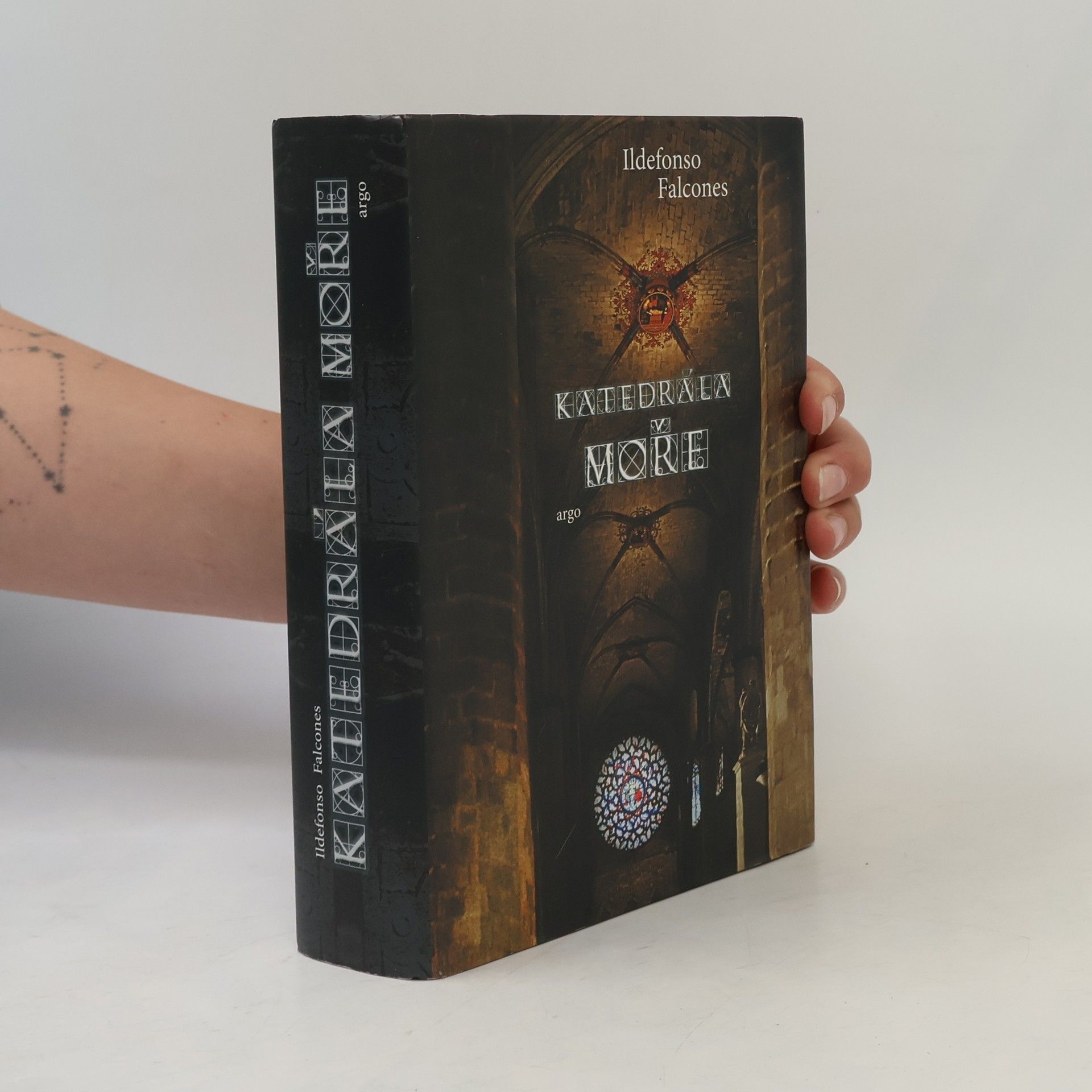 Ildefonso Falcones Katedrála moře