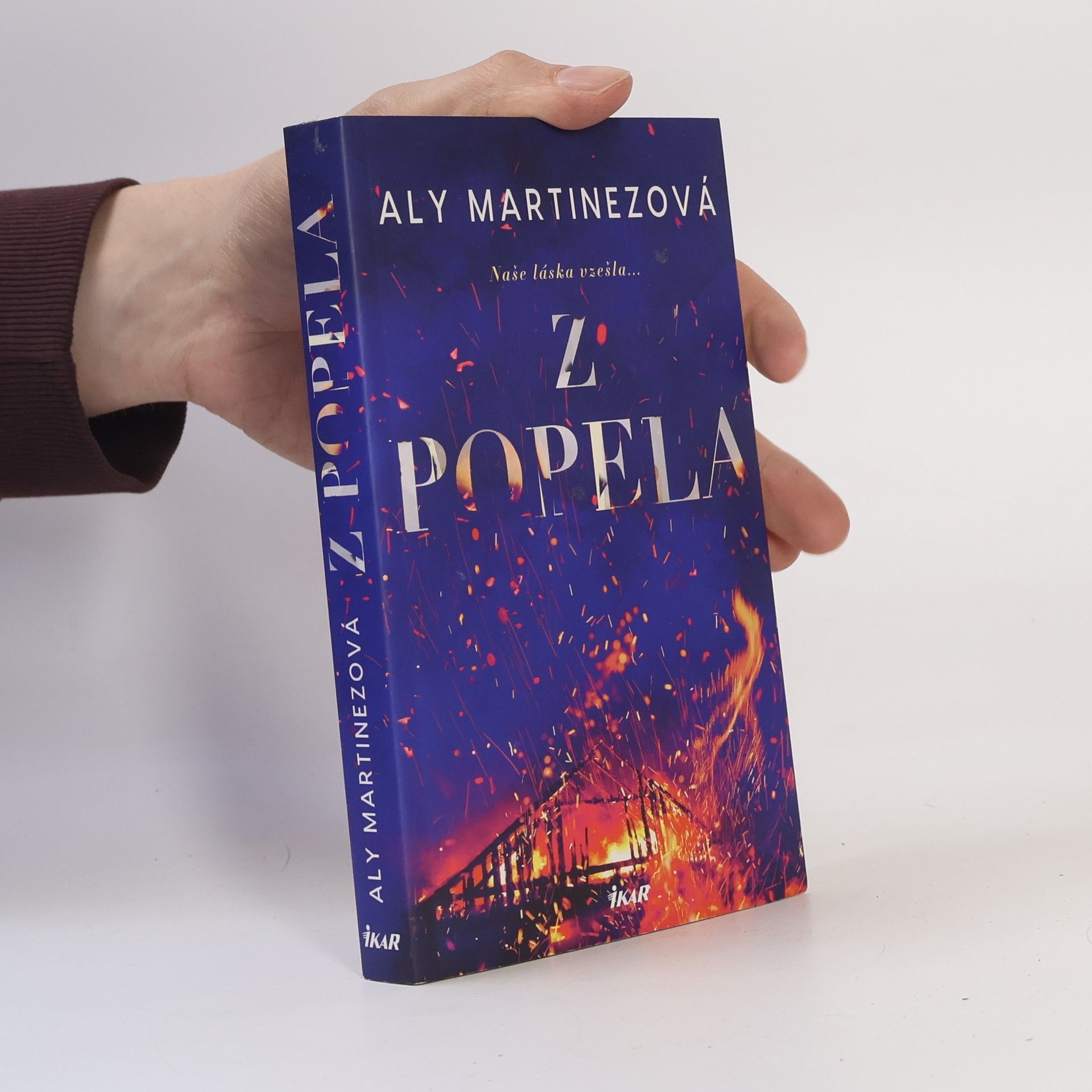 Aly Martinez Z popela