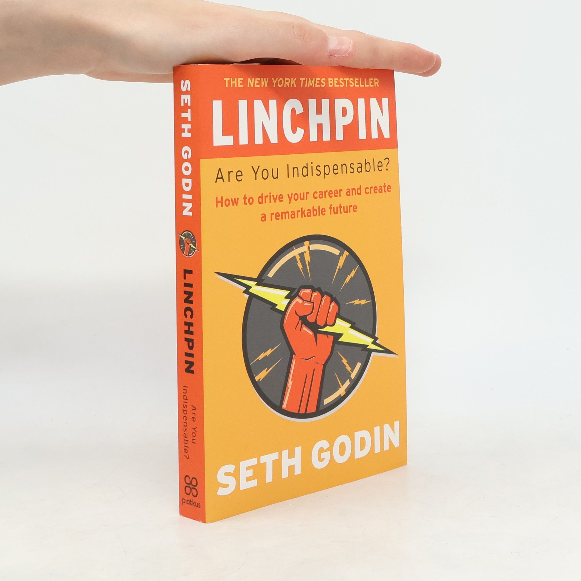 Seth Godin Linchpin