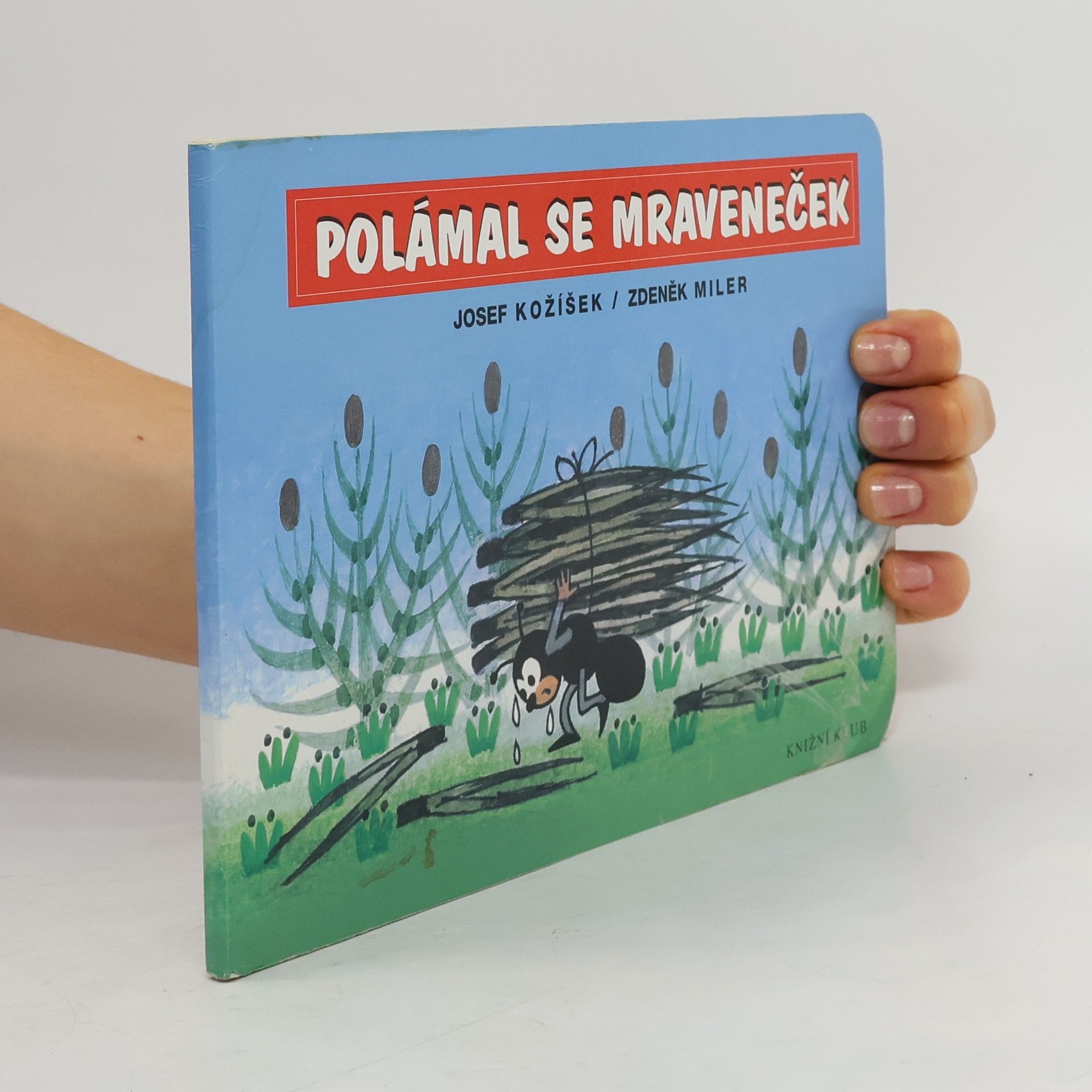 Polámal se mraveneček