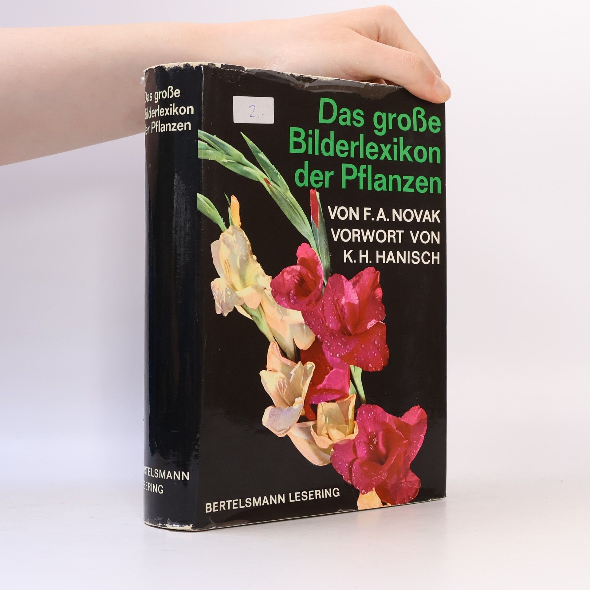 František Antonín Novák Das grosse Bilderlexikon der Pflanzen