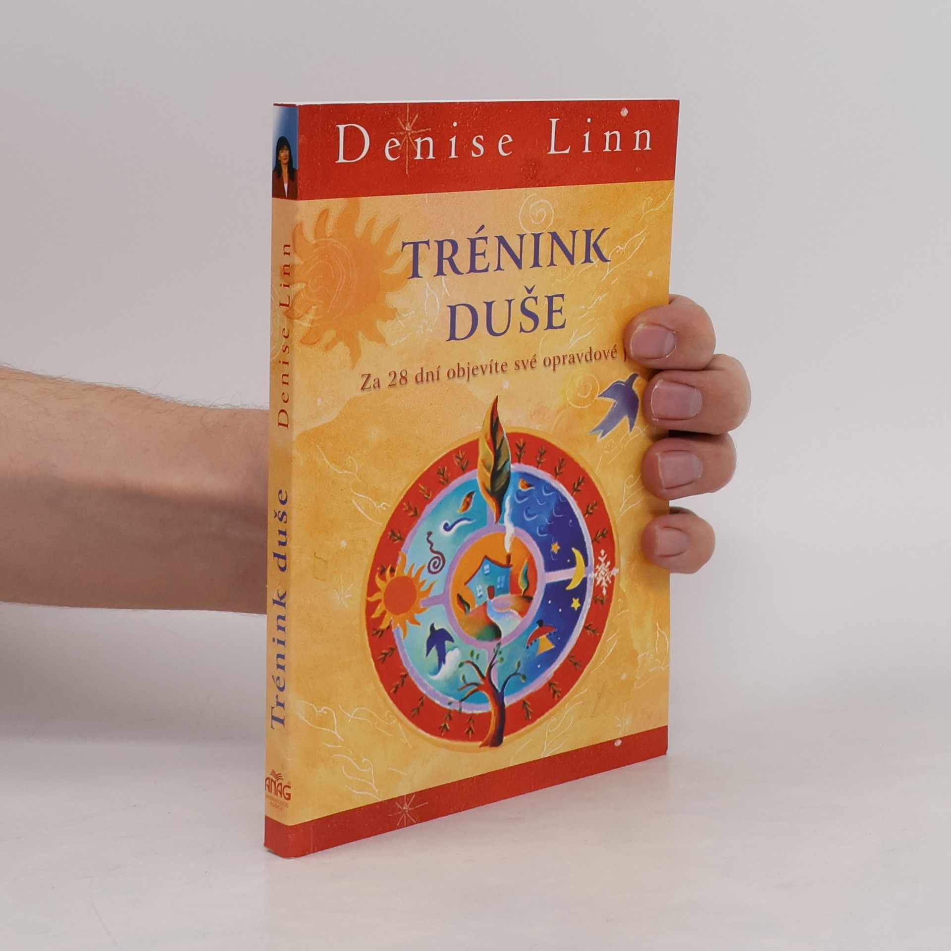 Denise Linn Trénink duše: Za 28 dní objevíte své opravdové já!