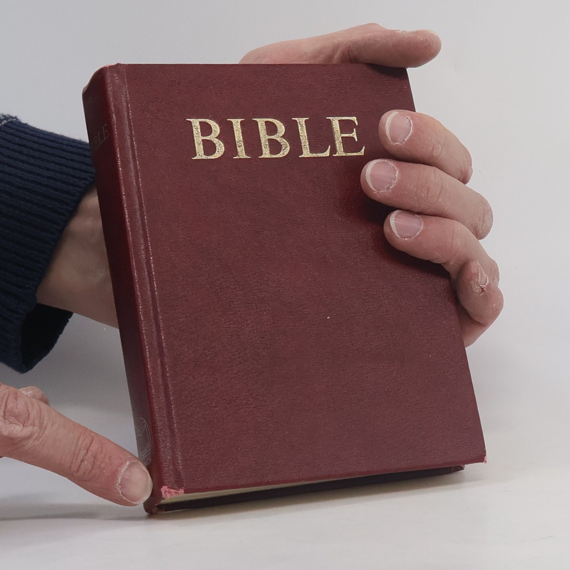 Autorenkollektiv Bible. Písmo svaté Starého i Nového zákona. Ekumenický překlad